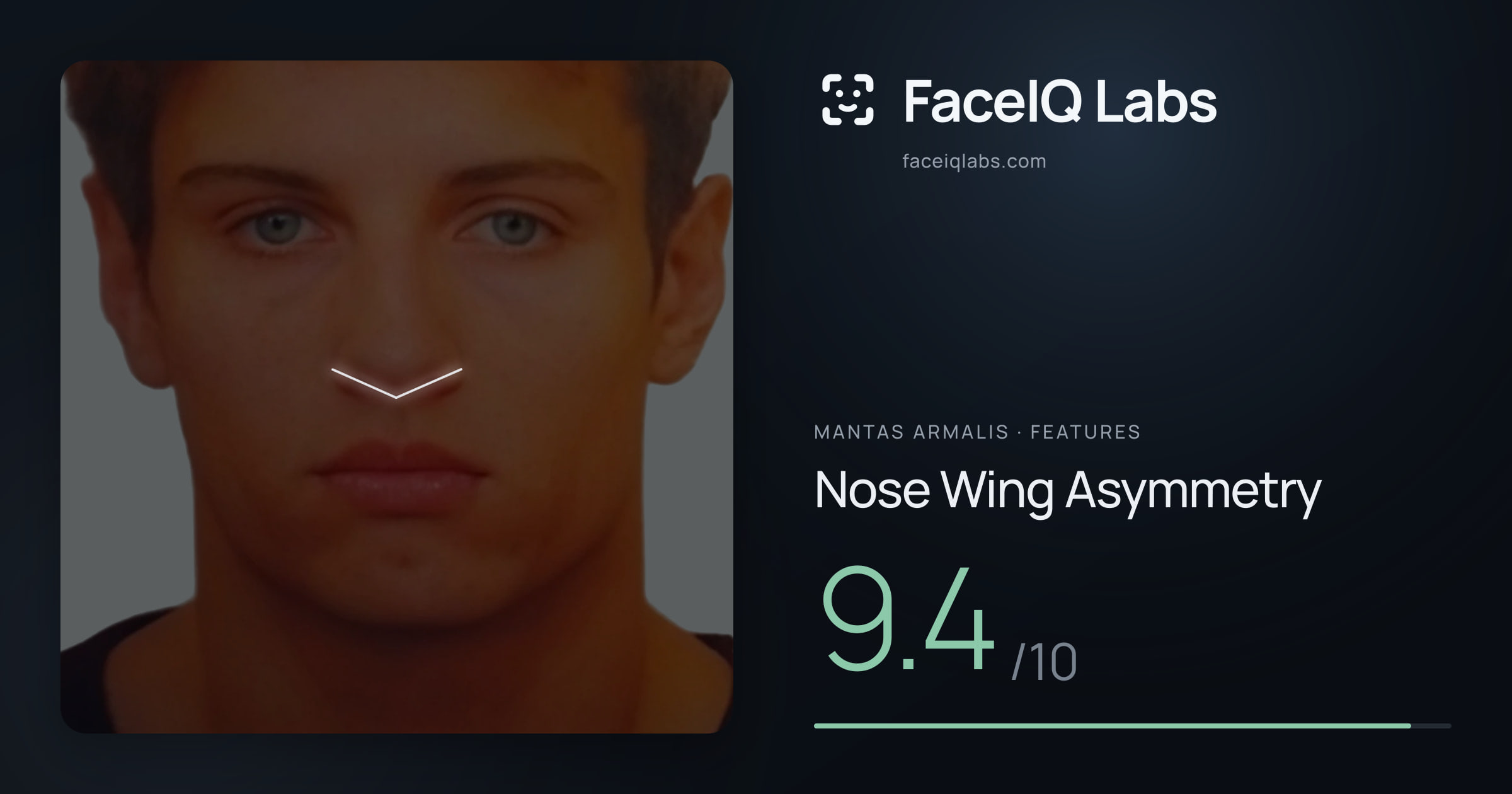 Mantas Armalis Nose Wing Asymmetry: 9.4/10, drawn on the photo