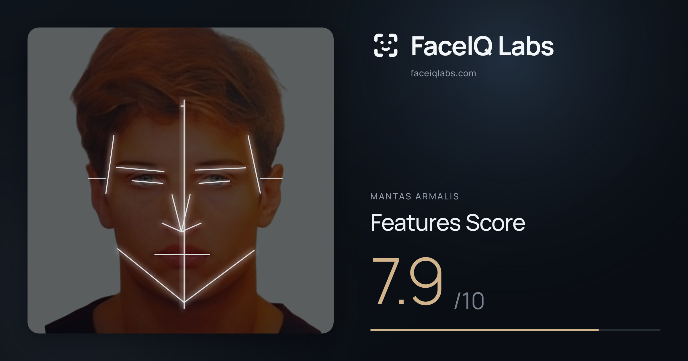 Mantas Armalis Features: 7.9/10, with each assessment drawn on the photo