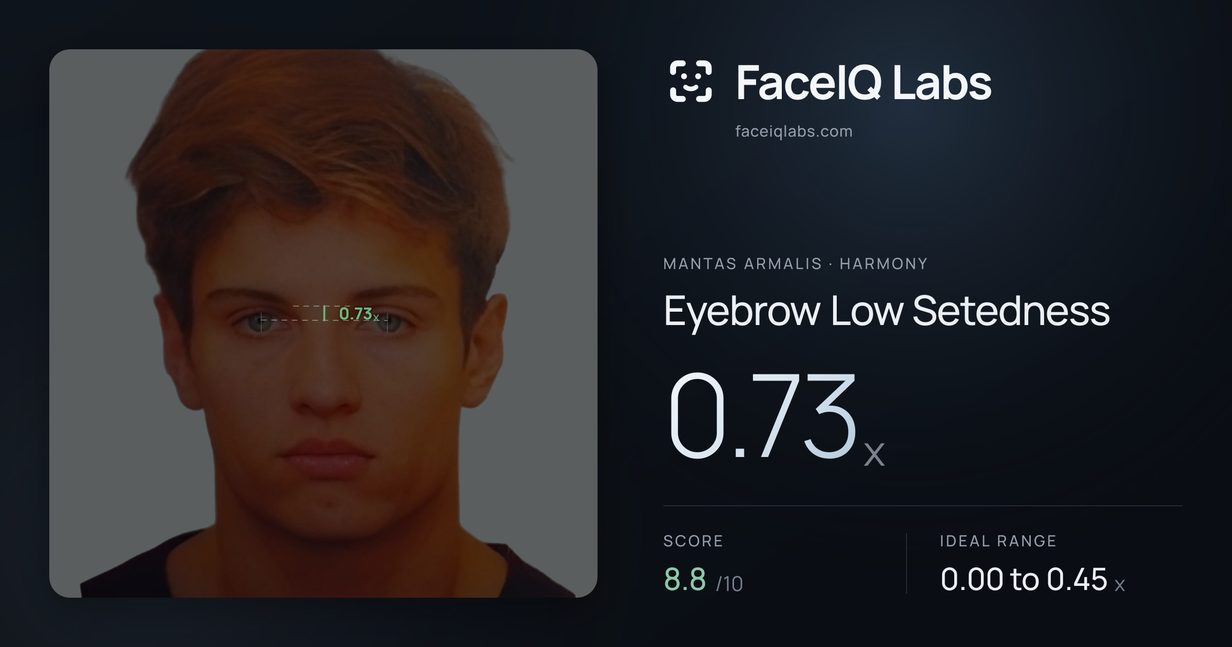 Mantas Armalis Eyebrow Low Setedness: 0.73x, drawn on the photo