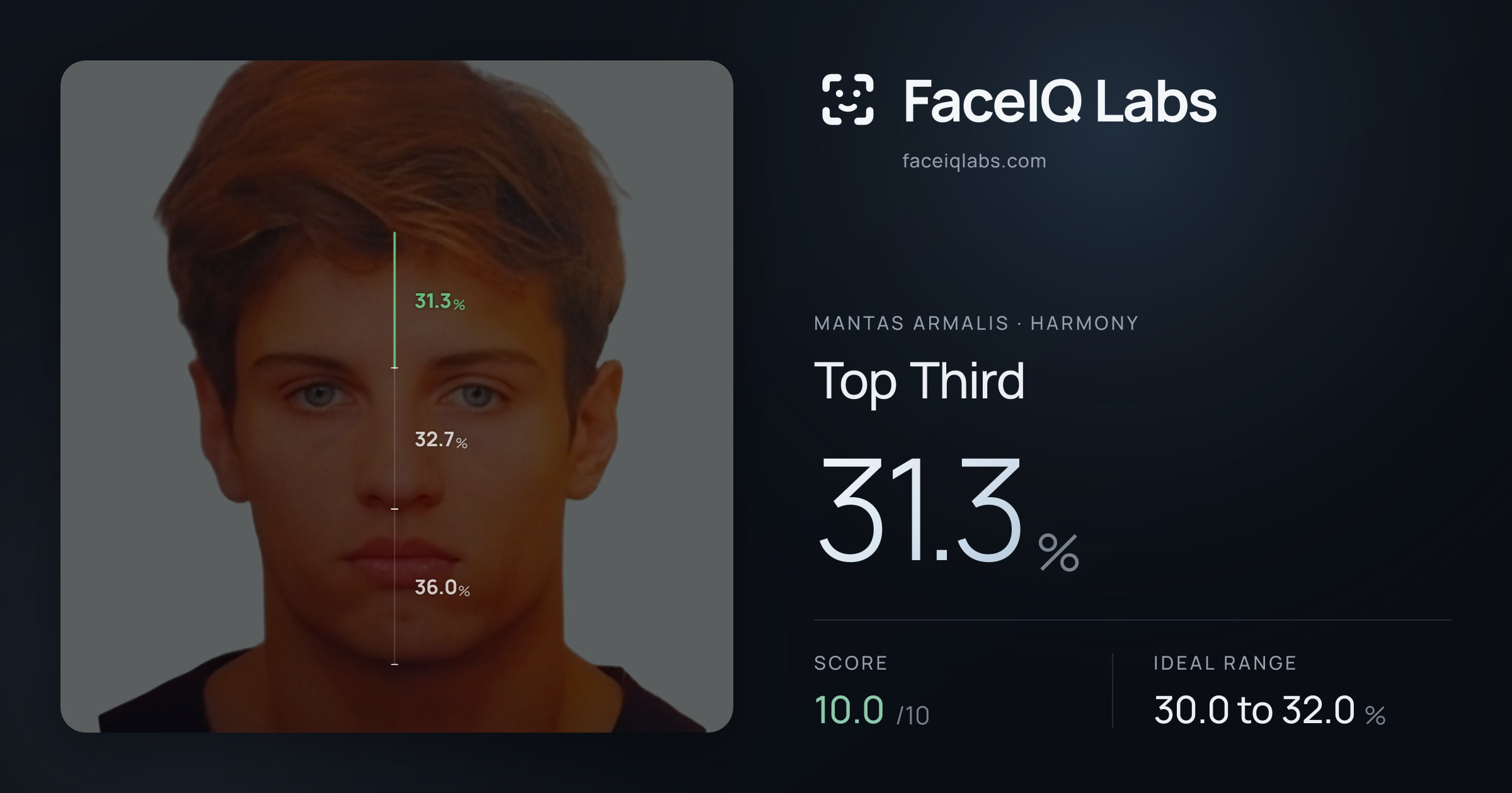 Mantas Armalis Top Third: 31.3%, drawn on the photo