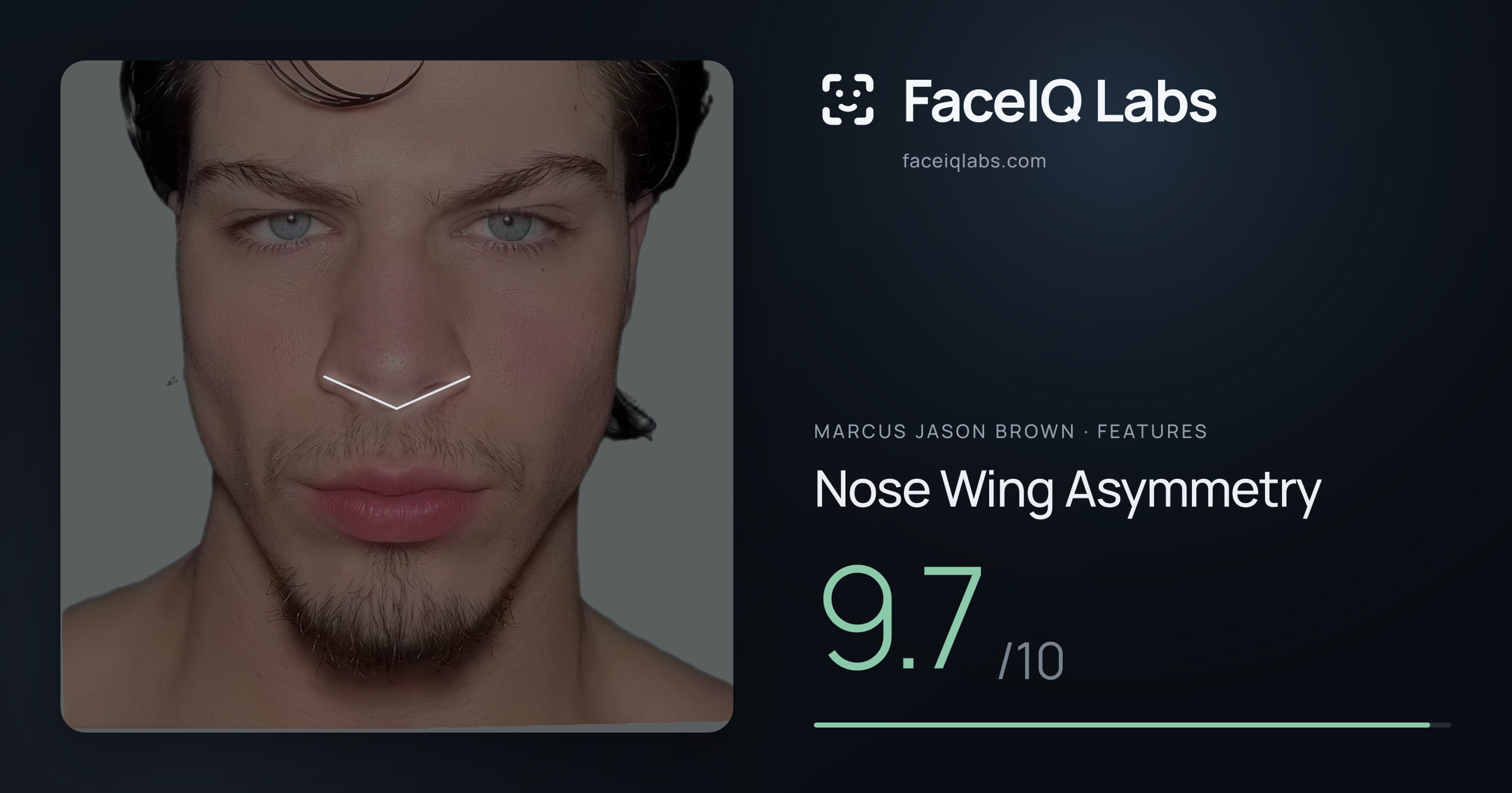 Marcus Jason Brown Nose Wing Asymmetry: 9.7/10, drawn on the photo