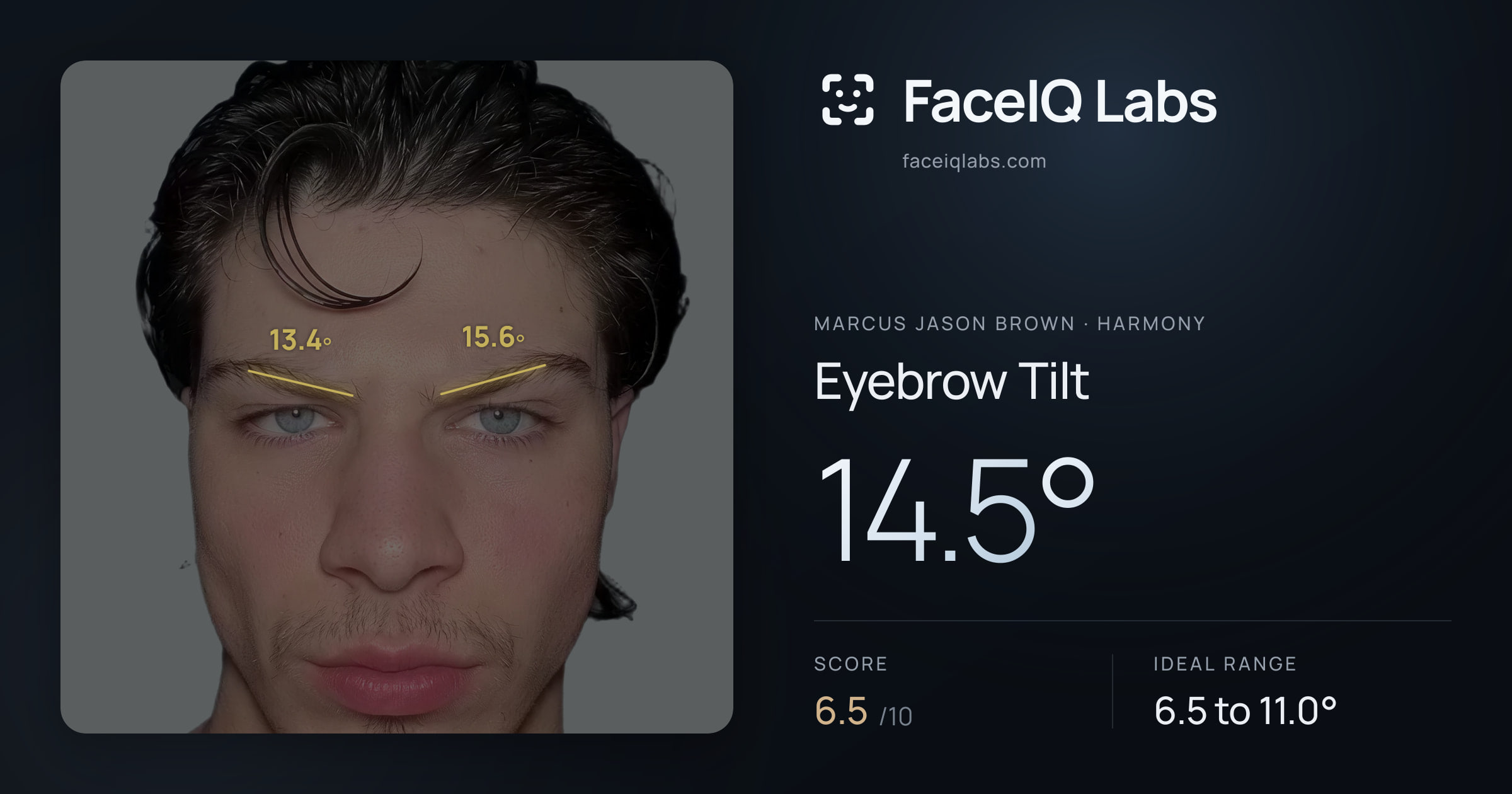 Marcus Jason Brown Eyebrow Tilt: 14.5°, drawn on the photo