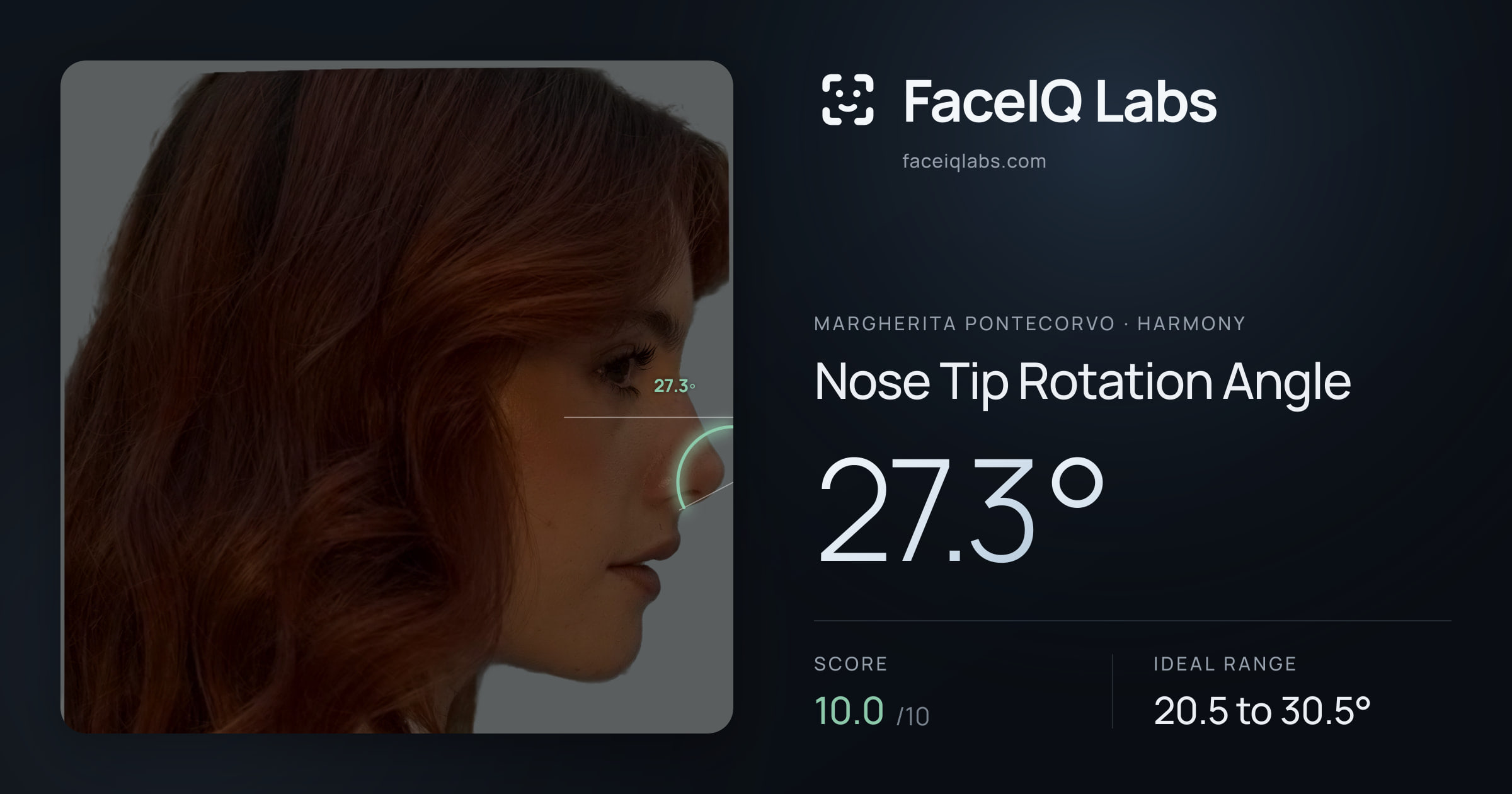 Margherita Pontecorvo Nose Tip Rotation Angle: 27.3°, drawn on the photo