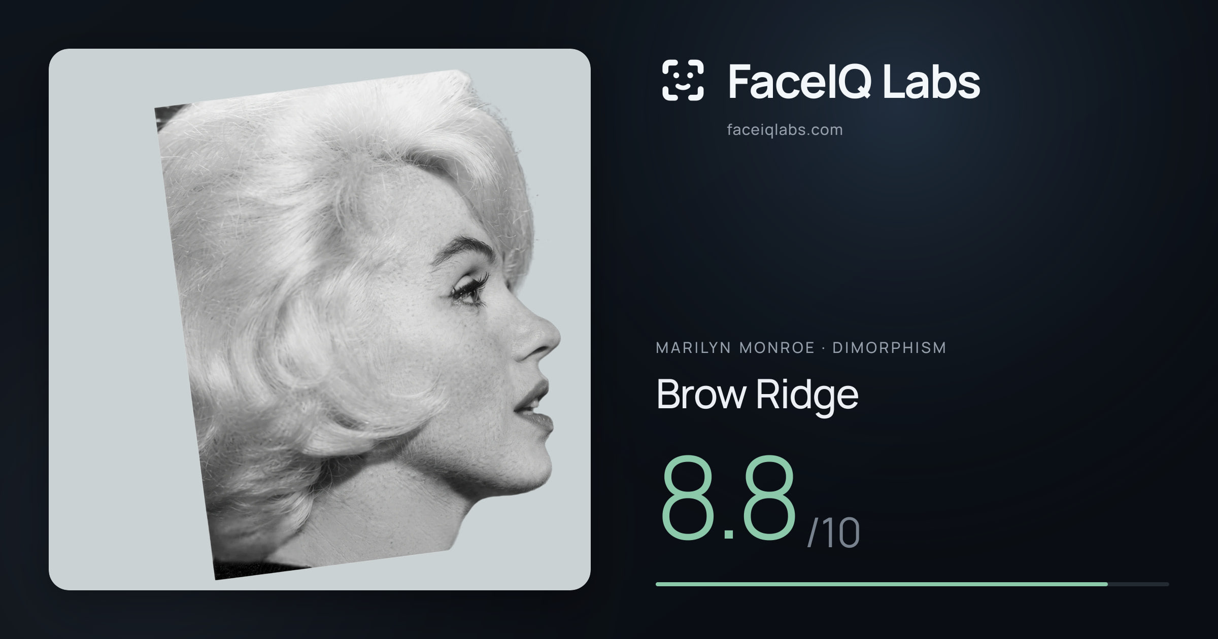 Marilyn Monroe Brow Ridge: 8.8/10, drawn on the photo
