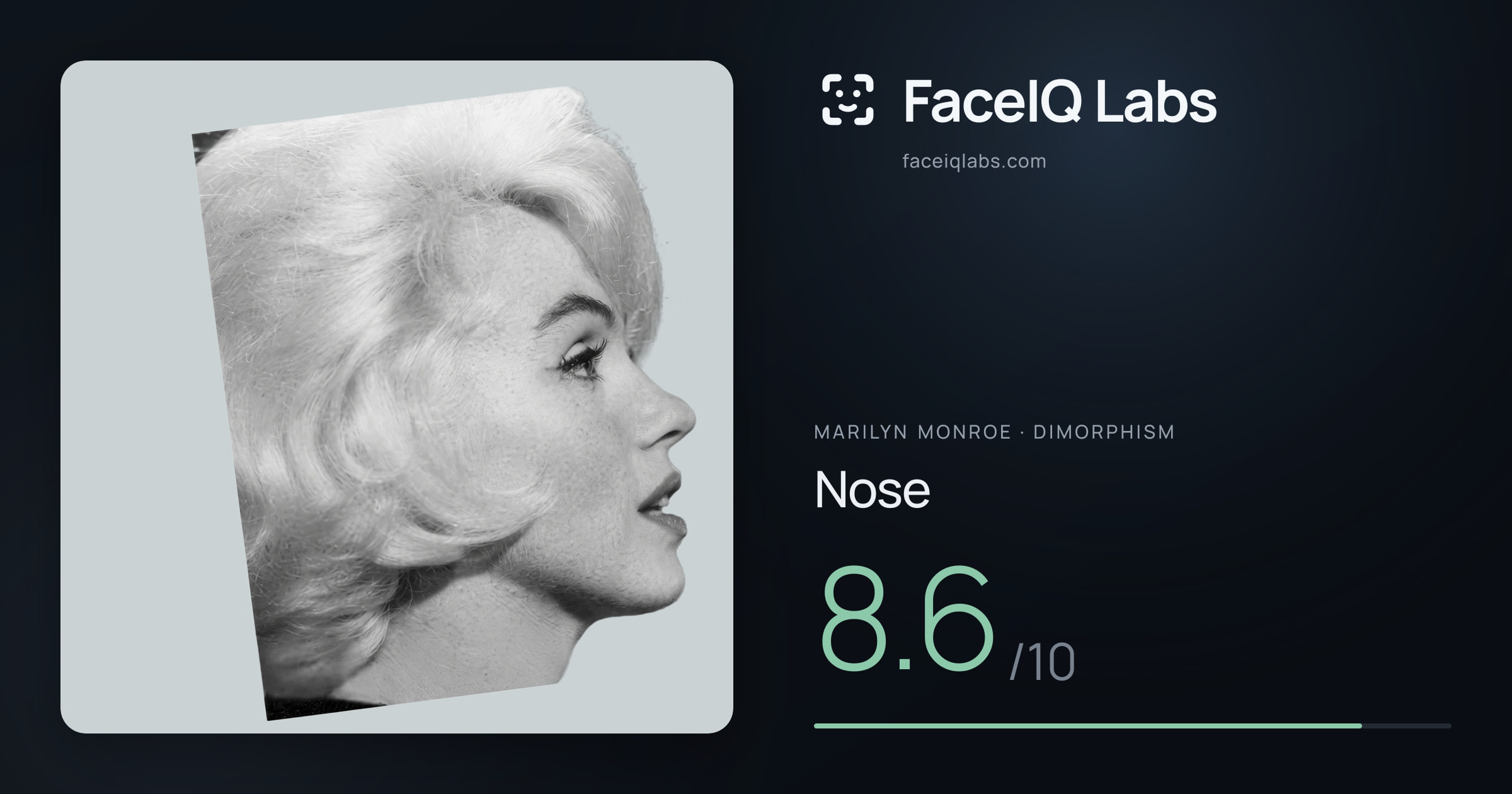 Marilyn Monroe Nose: 8.6/10, drawn on the photo