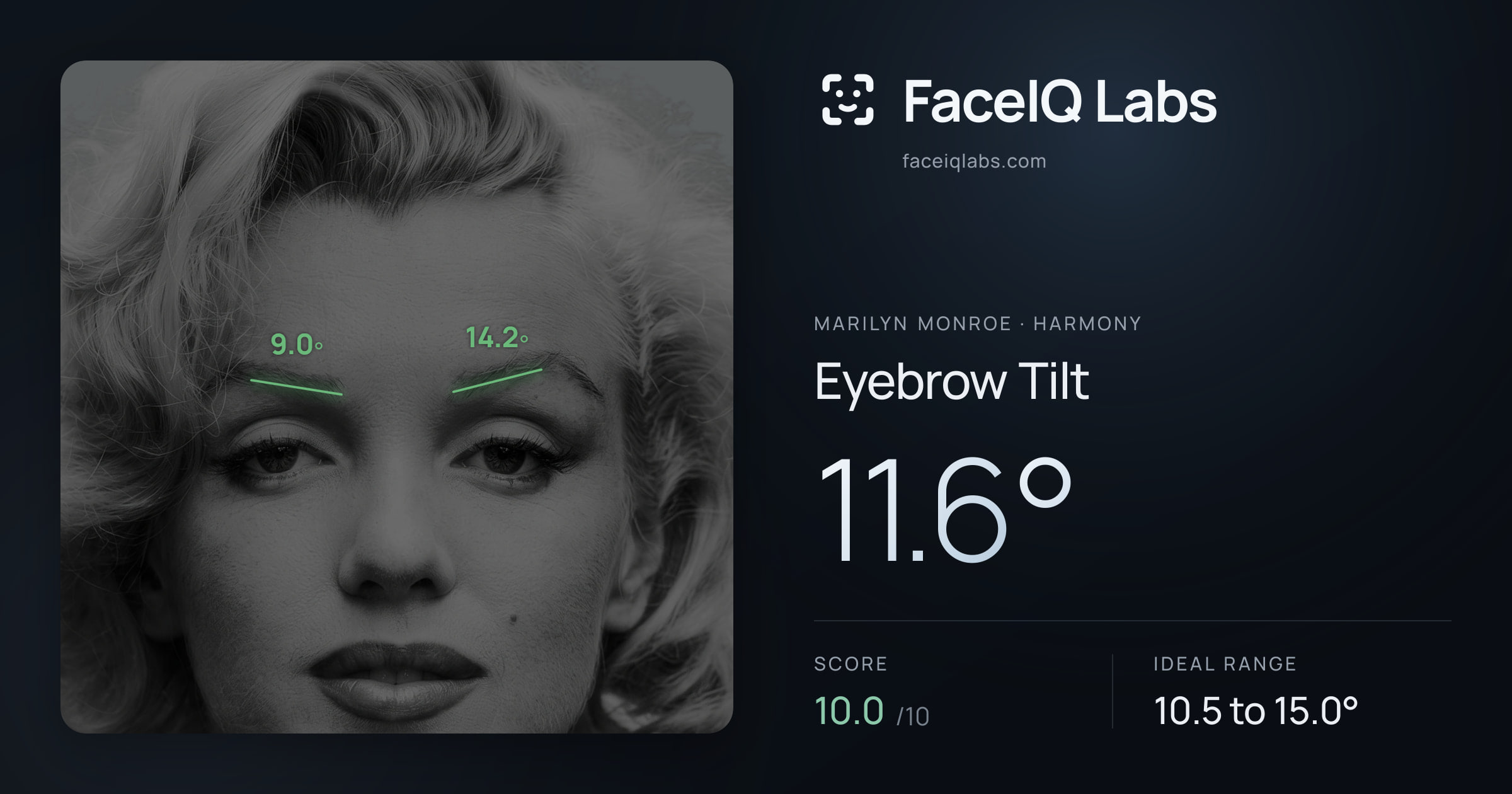 Marilyn Monroe Eyebrow Tilt: 11.6°, drawn on the photo
