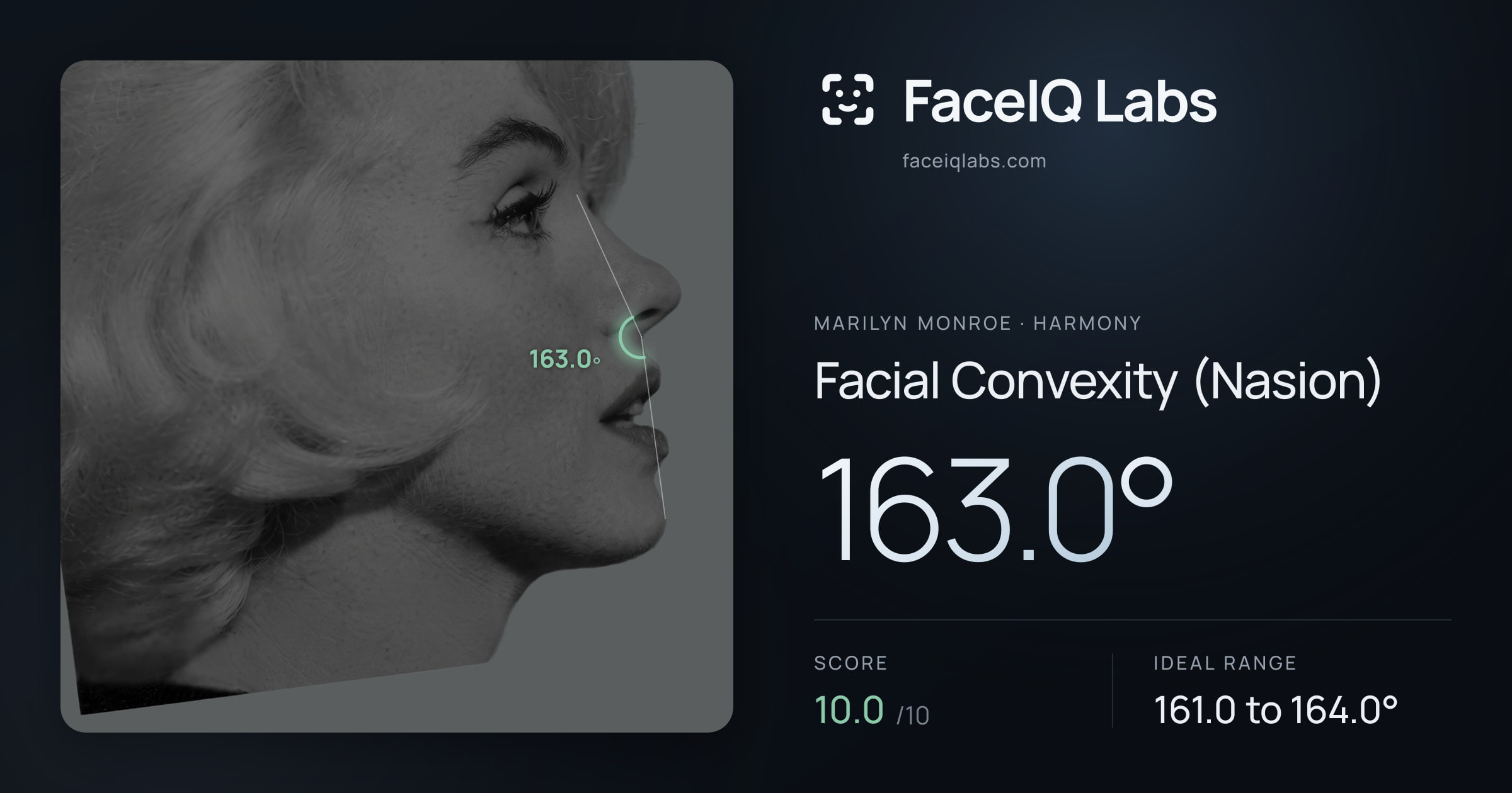 Marilyn Monroe Facial Convexity (Nasion): 163.0°, drawn on the photo