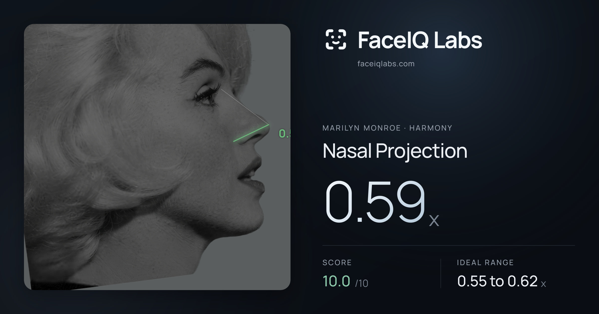 Marilyn Monroe Nasal Projection: 0.59x, drawn on the photo