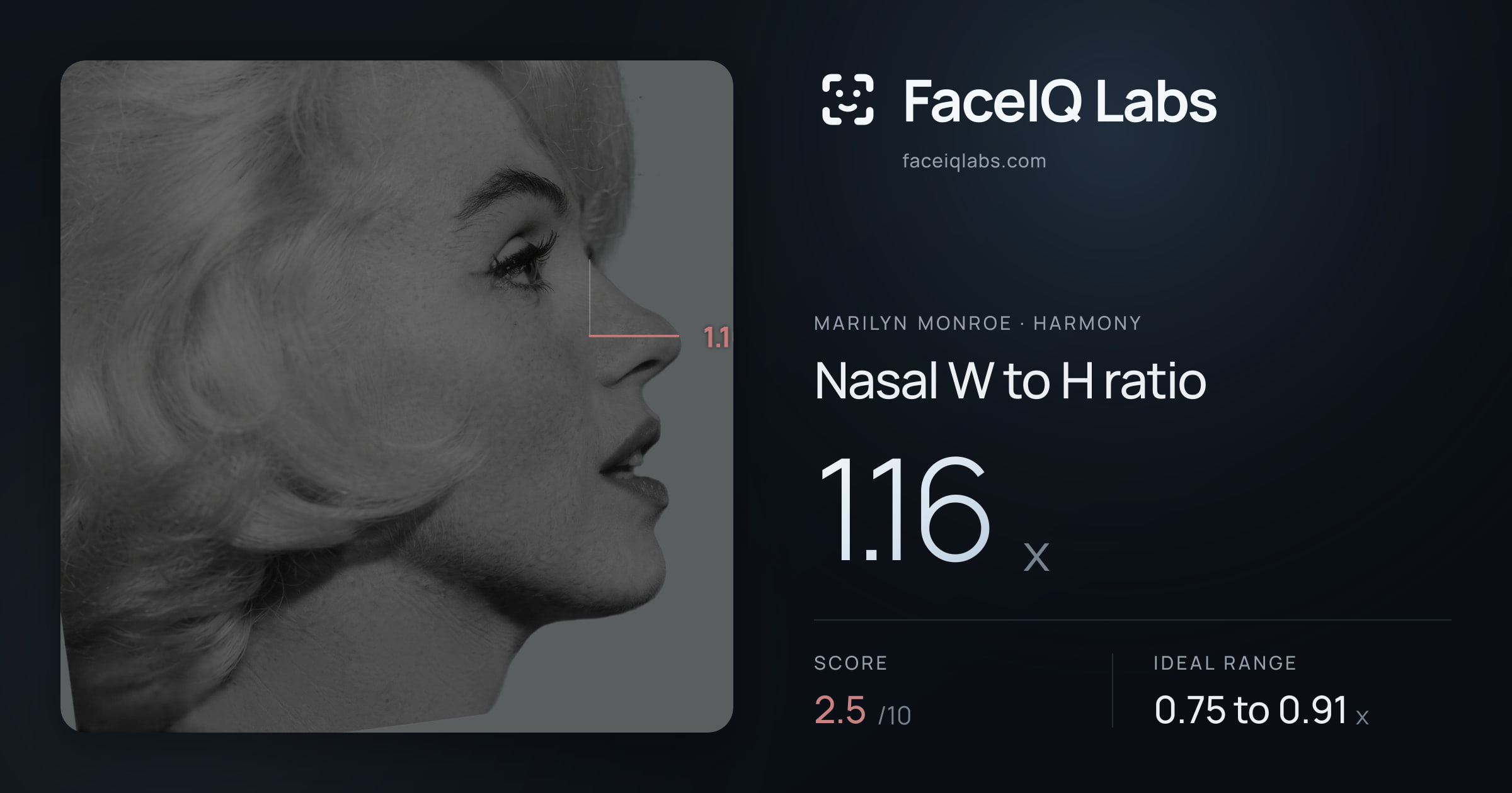 Marilyn Monroe Nasal W to H ratio: 1.16x, drawn on the photo