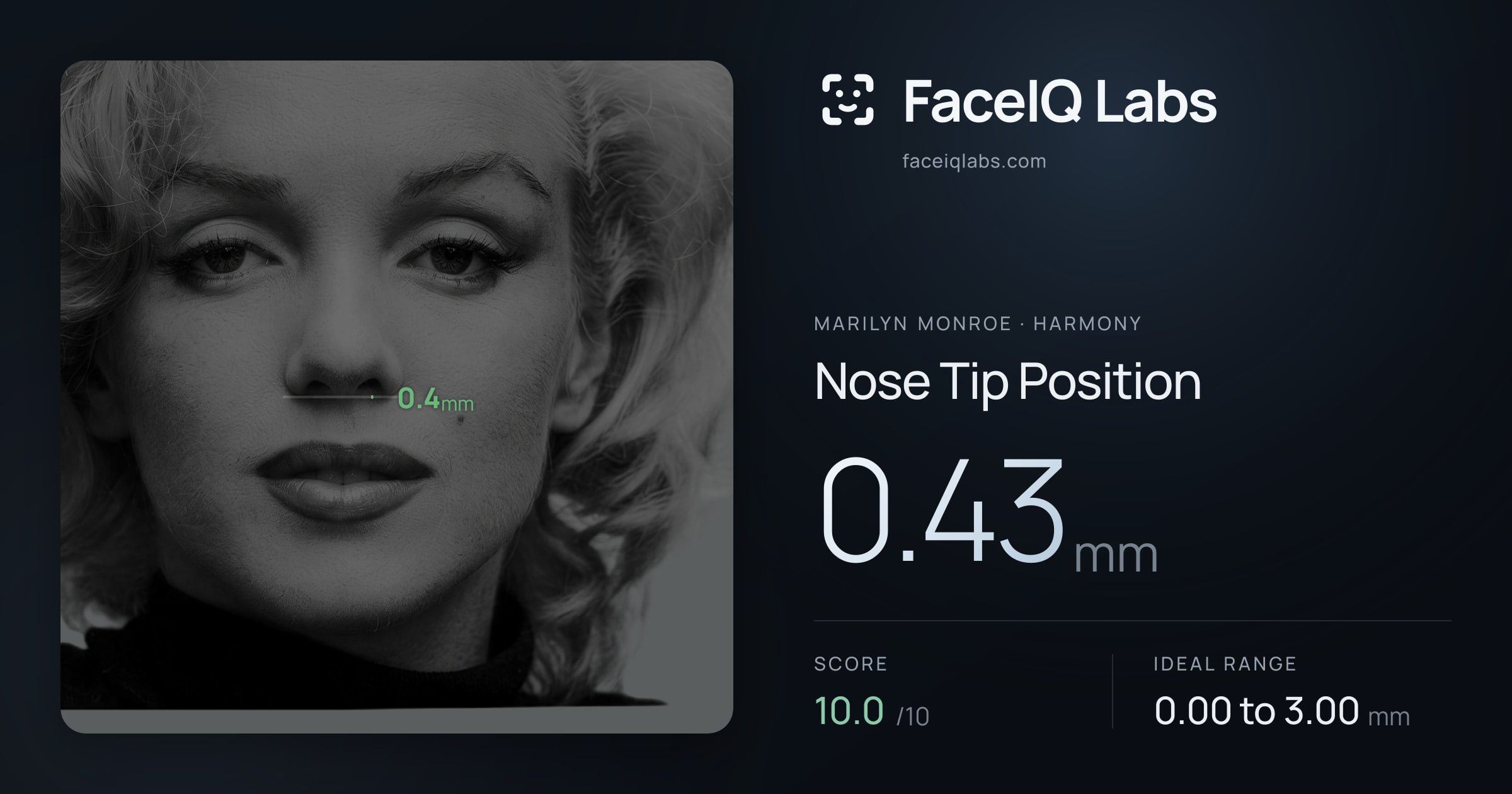 Marilyn Monroe Nose Tip Position: 0.43mm, drawn on the photo