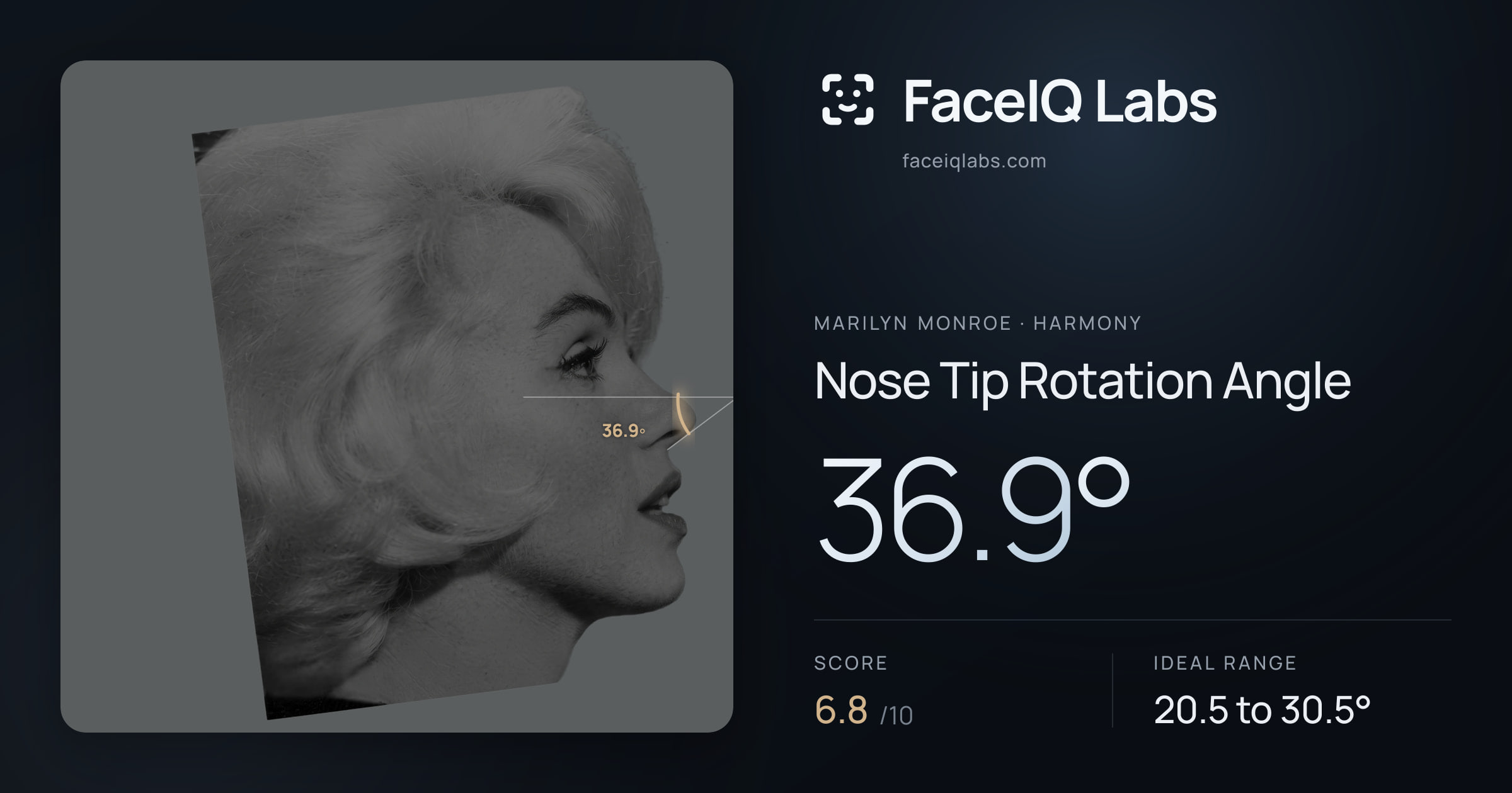 Marilyn Monroe Nose Tip Rotation Angle: 36.9°, drawn on the photo
