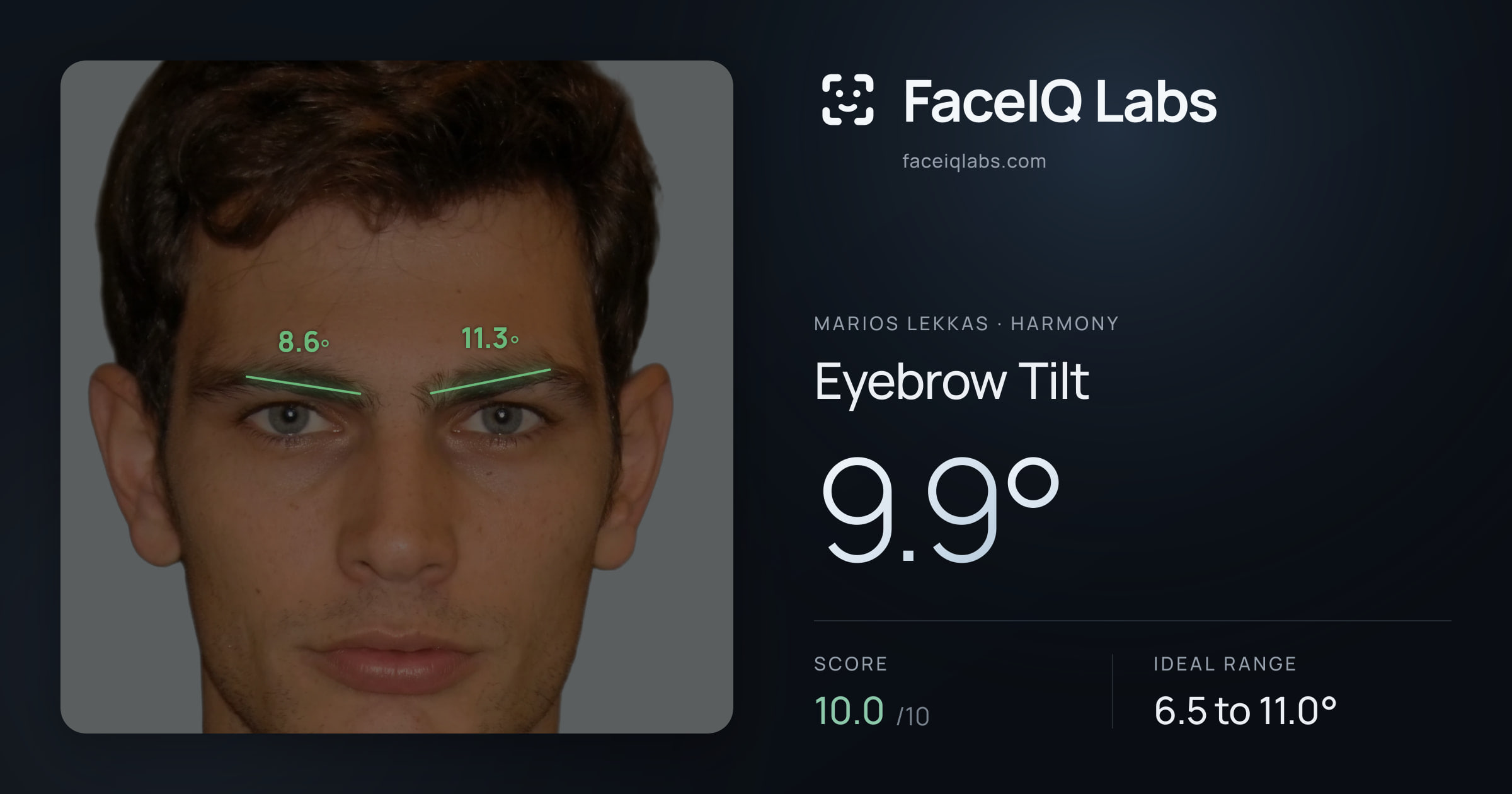 Marios Lekkas Eyebrow Tilt: 9.9°, drawn on the photo