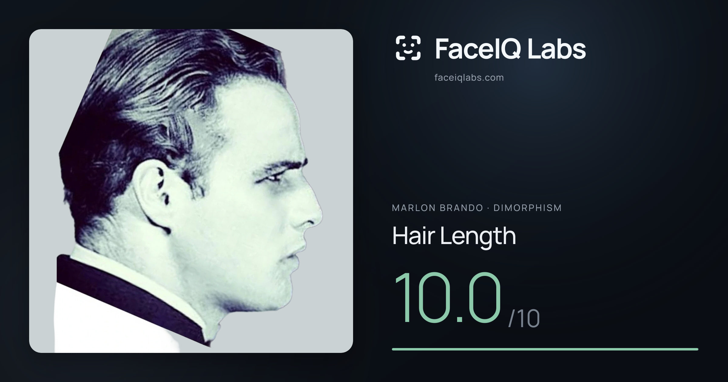 Marlon Brando Hair Length: 10.0/10, drawn on the photo