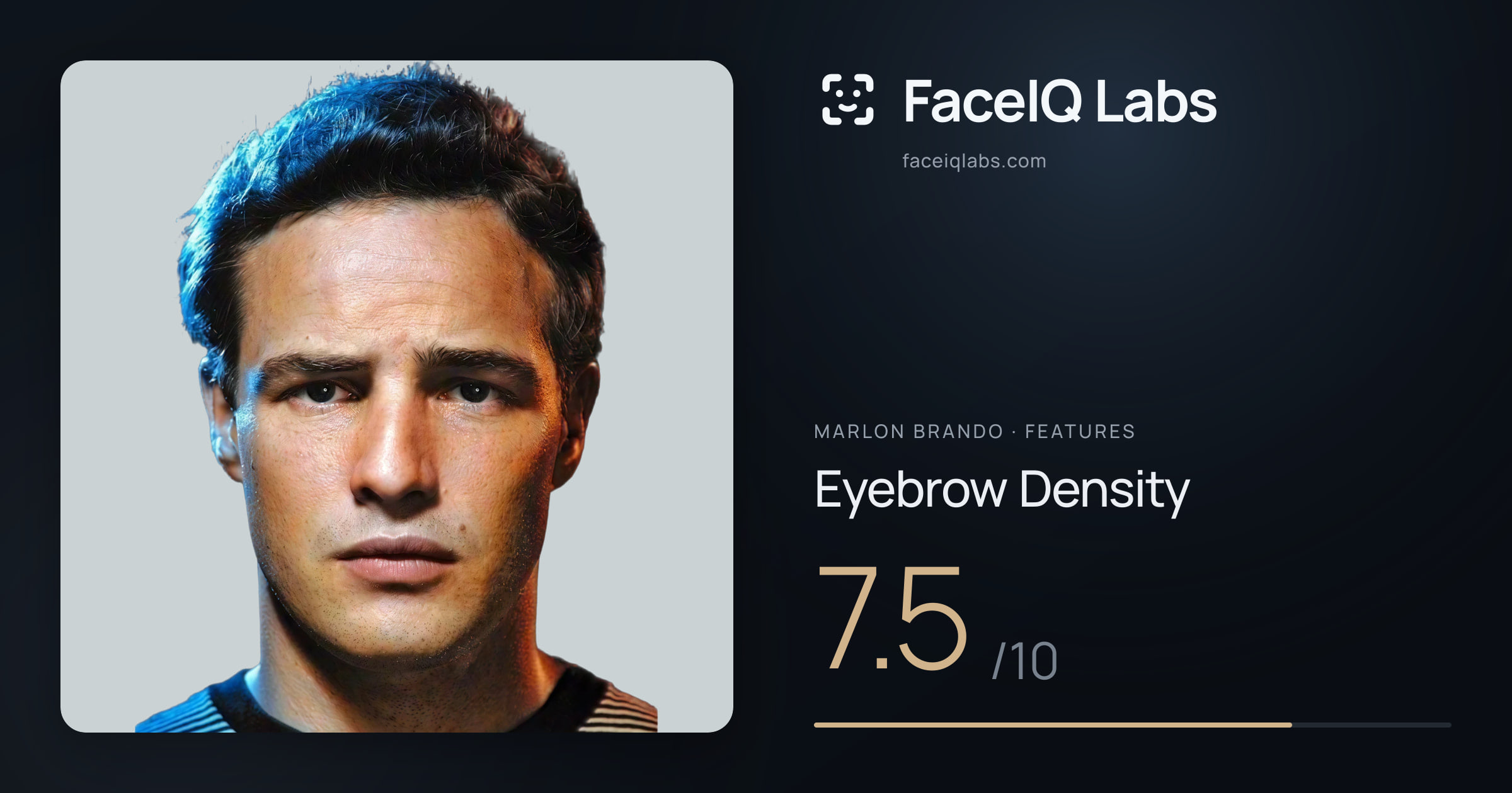 Marlon Brando Eyebrow Density: 7.5/10, drawn on the photo