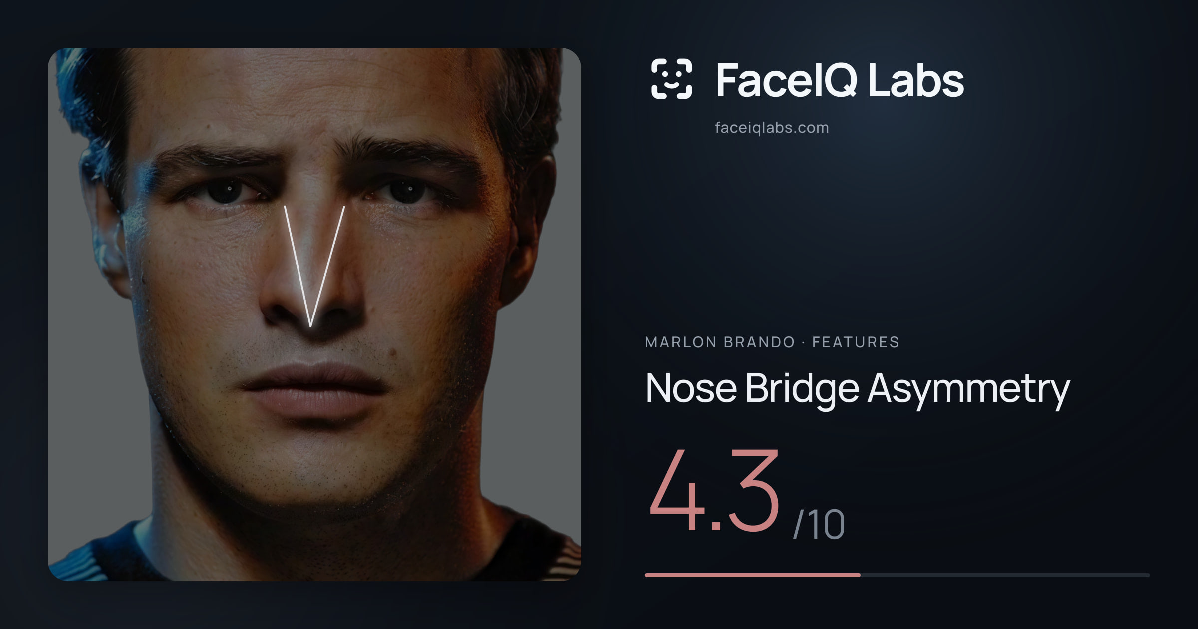 Marlon Brando Nose Bridge Asymmetry: 4.3/10, drawn on the photo