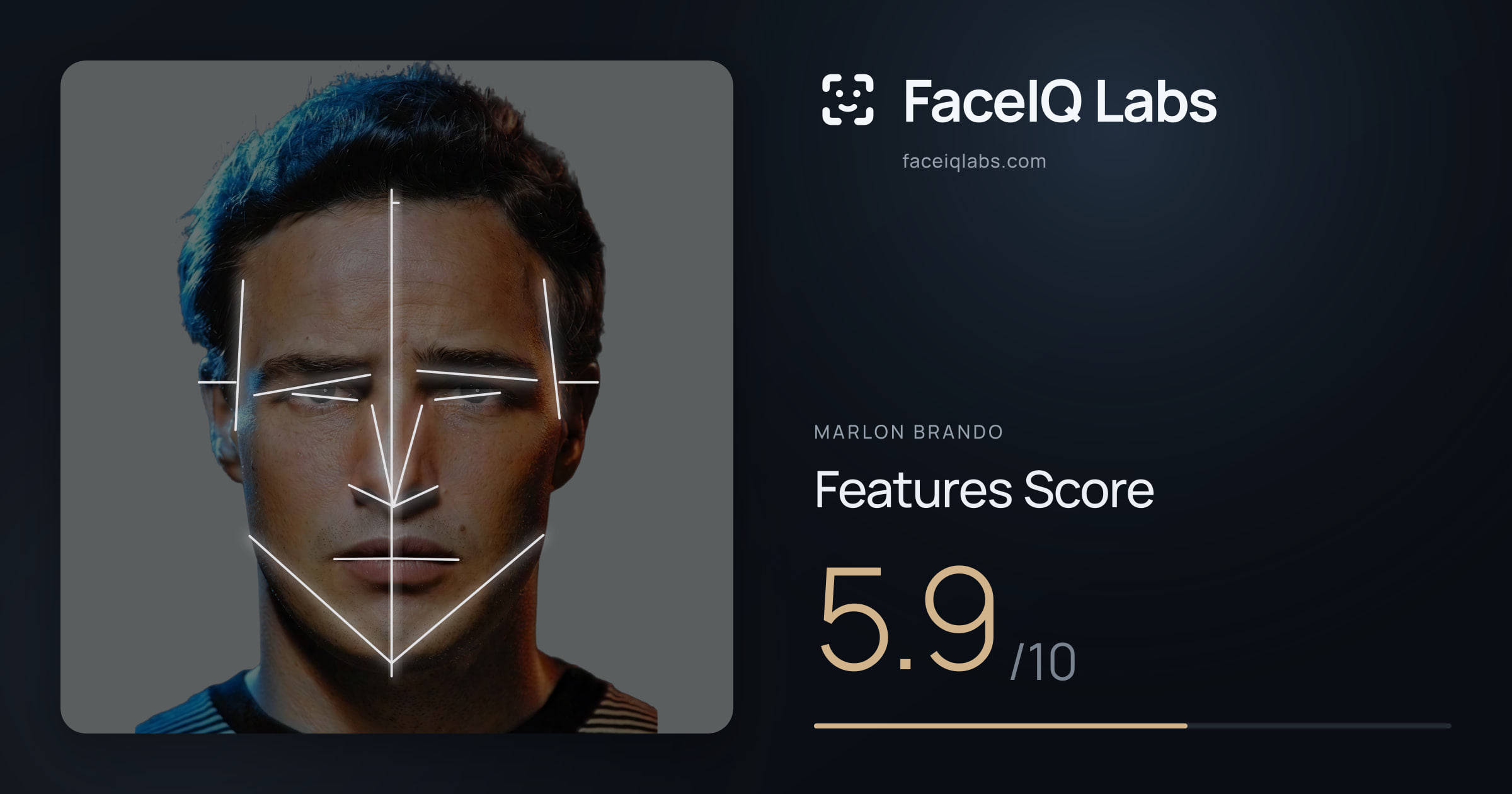 Marlon Brando Features: 5.9/10, with each assessment drawn on the photo