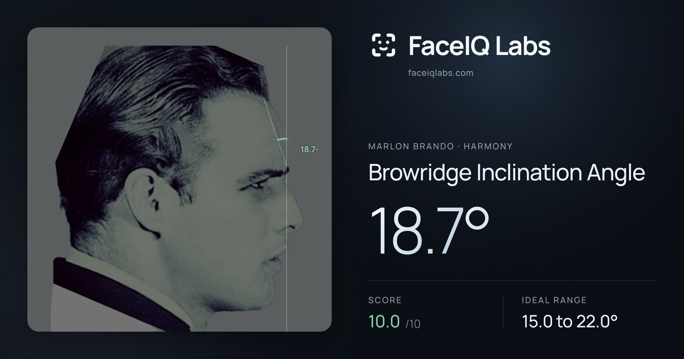 Marlon Brando Browridge Inclination Angle: 18.7°, drawn on the photo
