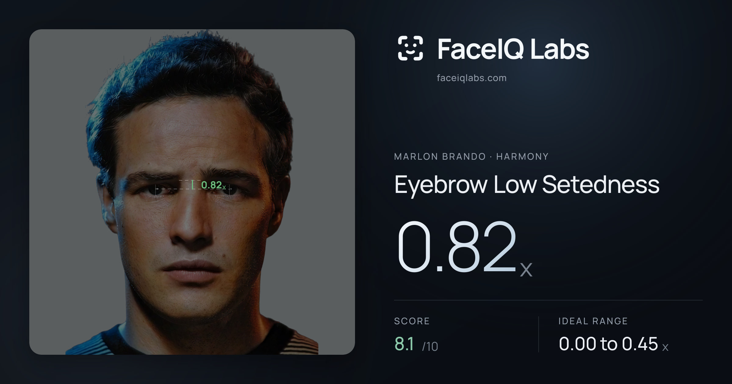 Marlon Brando Eyebrow Low Setedness: 0.82x, drawn on the photo