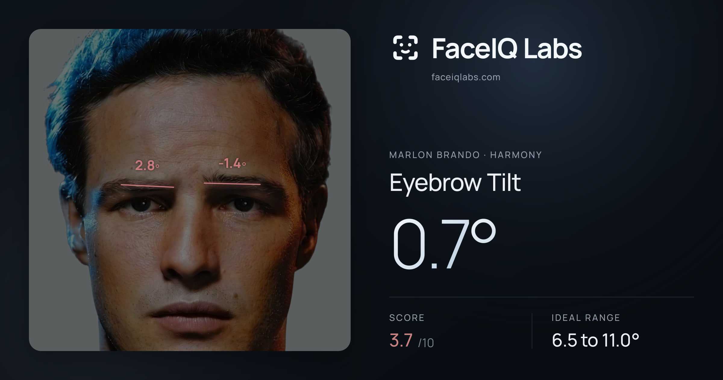 Marlon Brando Eyebrow Tilt: 0.7°, drawn on the photo