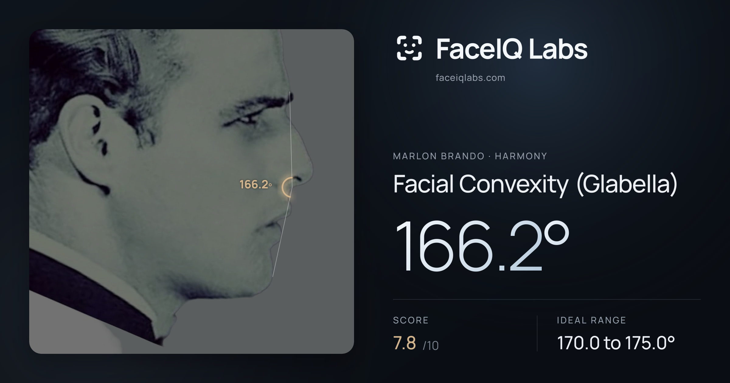 Marlon Brando Facial Convexity (Glabella): 166.2°, drawn on the photo