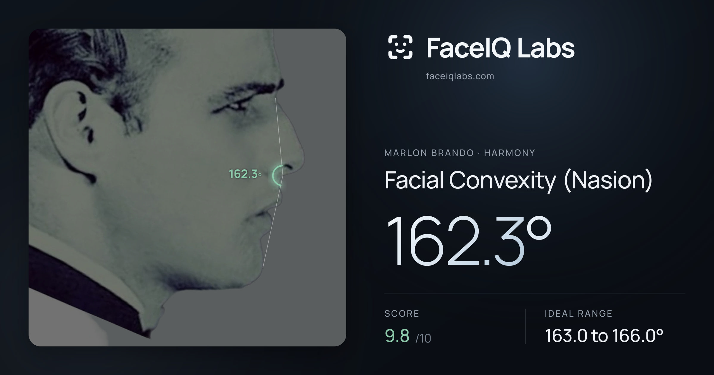 Marlon Brando Facial Convexity (Nasion): 162.3°, drawn on the photo
