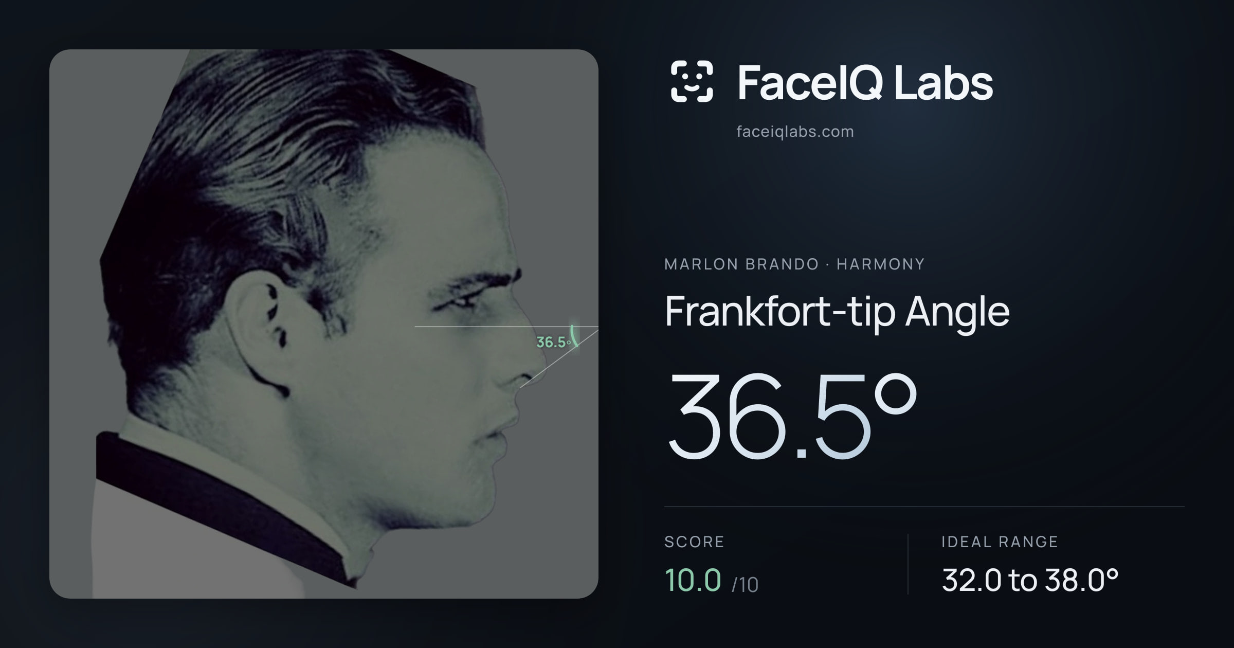 Marlon Brando Frankfort-tip Angle: 36.5°, drawn on the photo