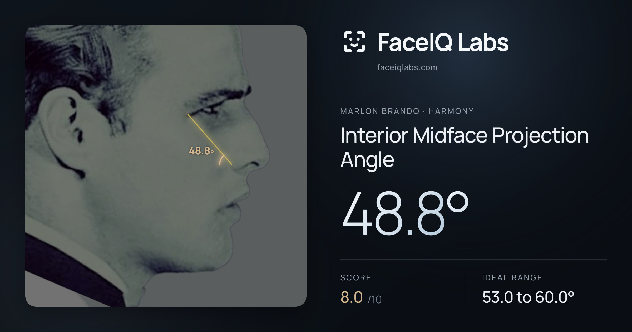 Marlon Brando Interior Midface Projection Angle: 48.8°, drawn on the photo