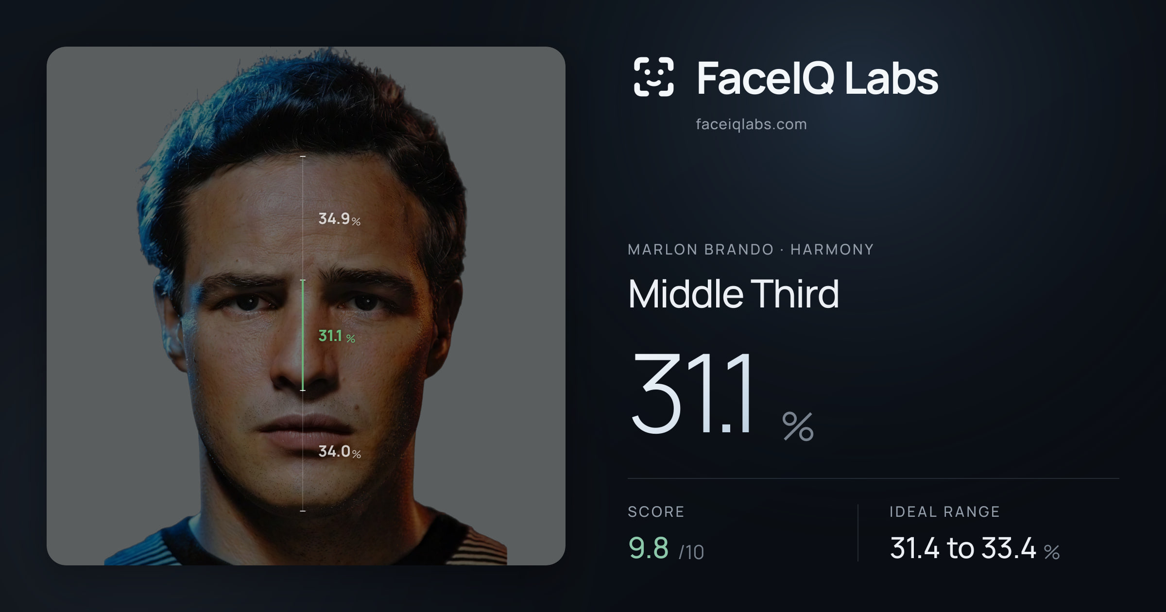 Marlon Brando Middle Third: 31.1%, drawn on the photo