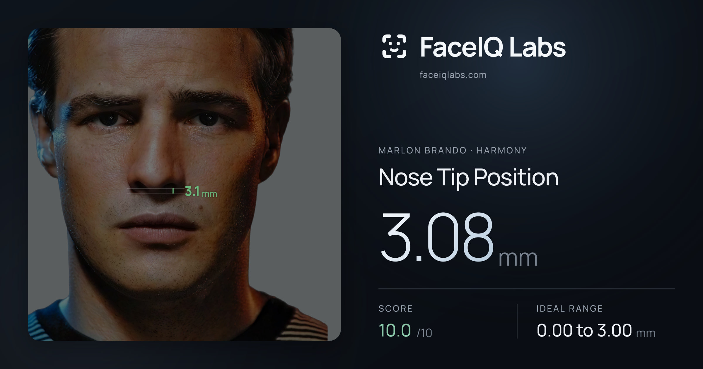 Marlon Brando Nose Tip Position: 3.08mm, drawn on the photo