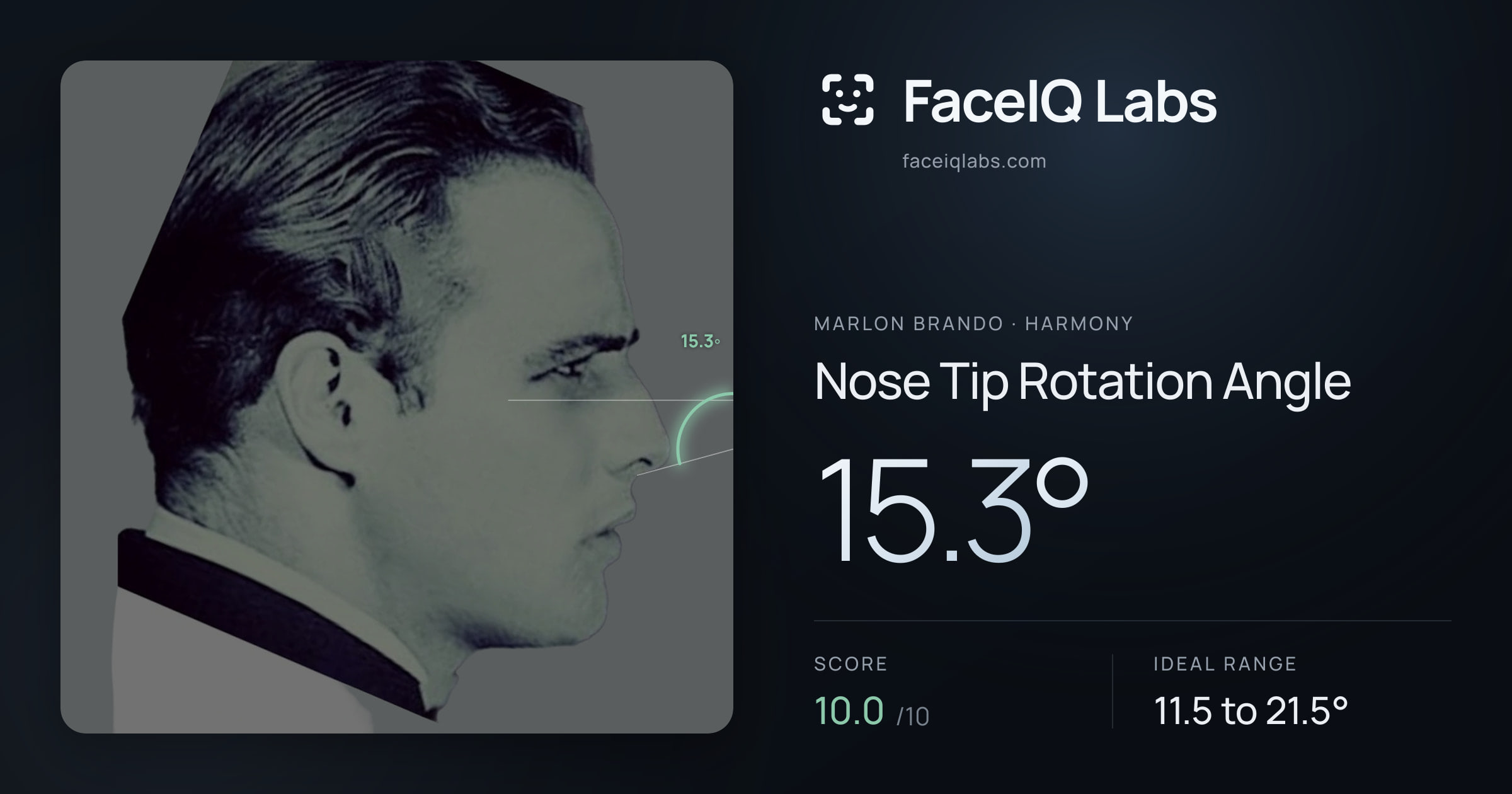 Marlon Brando Nose Tip Rotation Angle: 15.3°, drawn on the photo