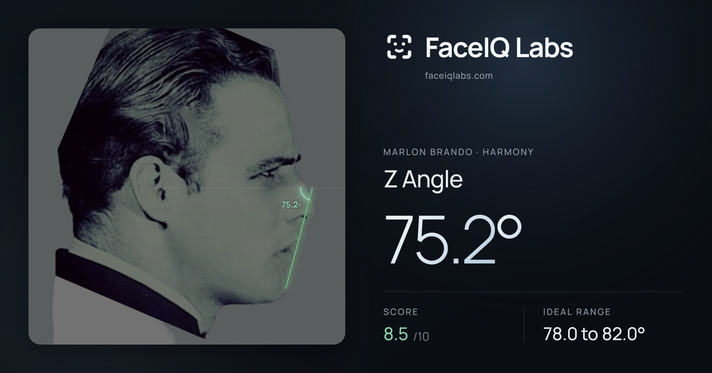 Marlon Brando Z Angle: 75.2°, drawn on the photo