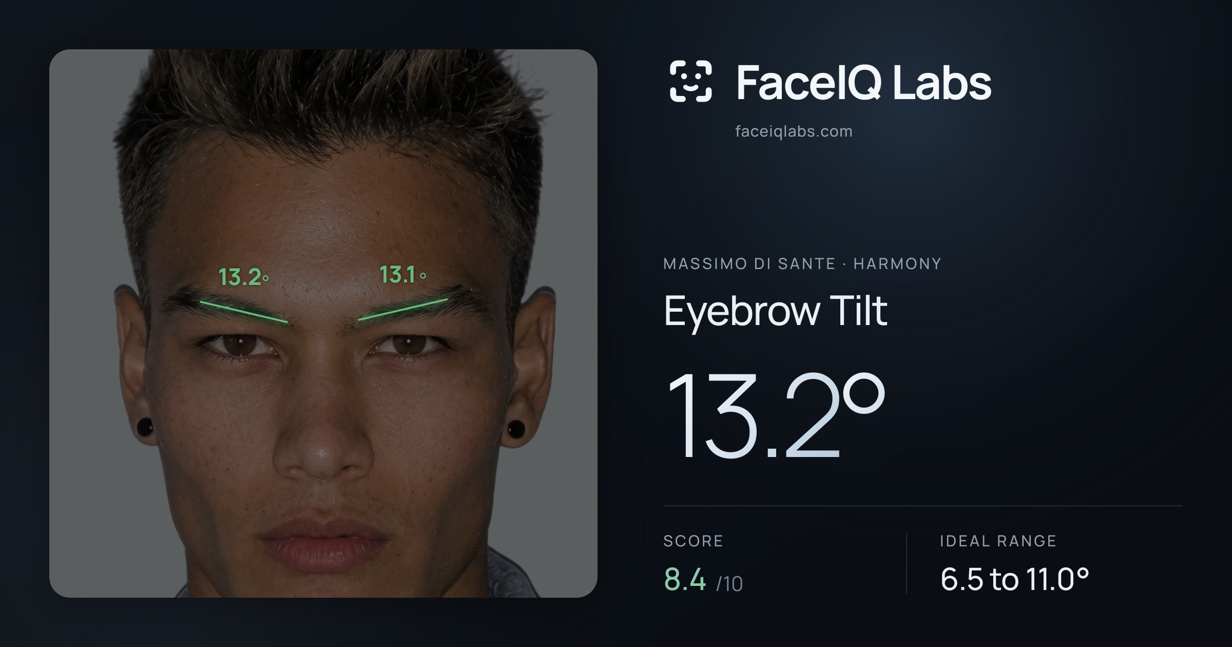 Massimo di Sante Eyebrow Tilt: 13.2°, drawn on the photo