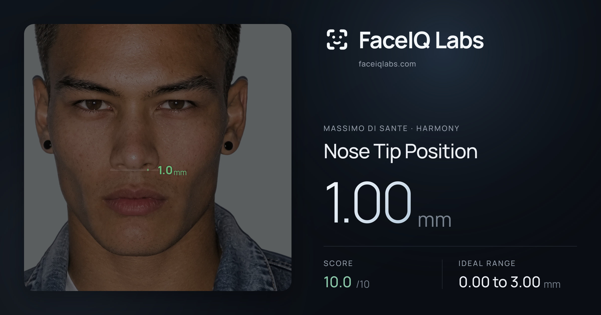 Massimo di Sante Nose Tip Position: 1.00mm, drawn on the photo
