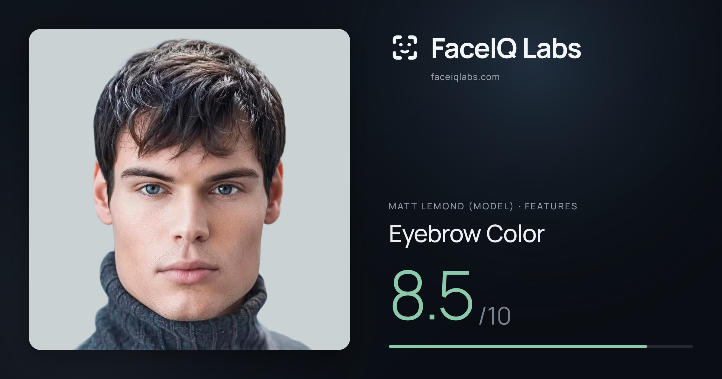 Matt Lemond (Model) Eyebrow Color: 8.5/10, drawn on the photo