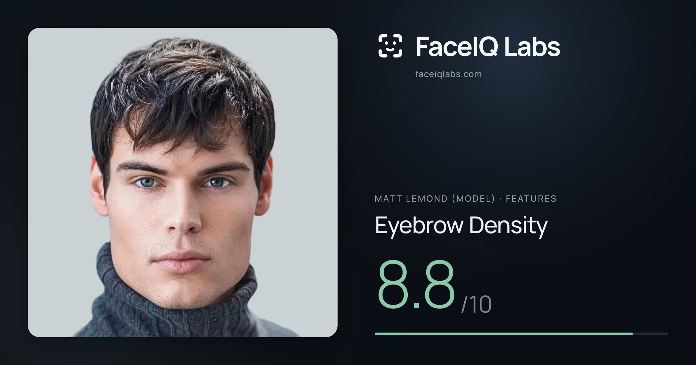 Matt Lemond (Model) Eyebrow Density: 8.8/10, drawn on the photo