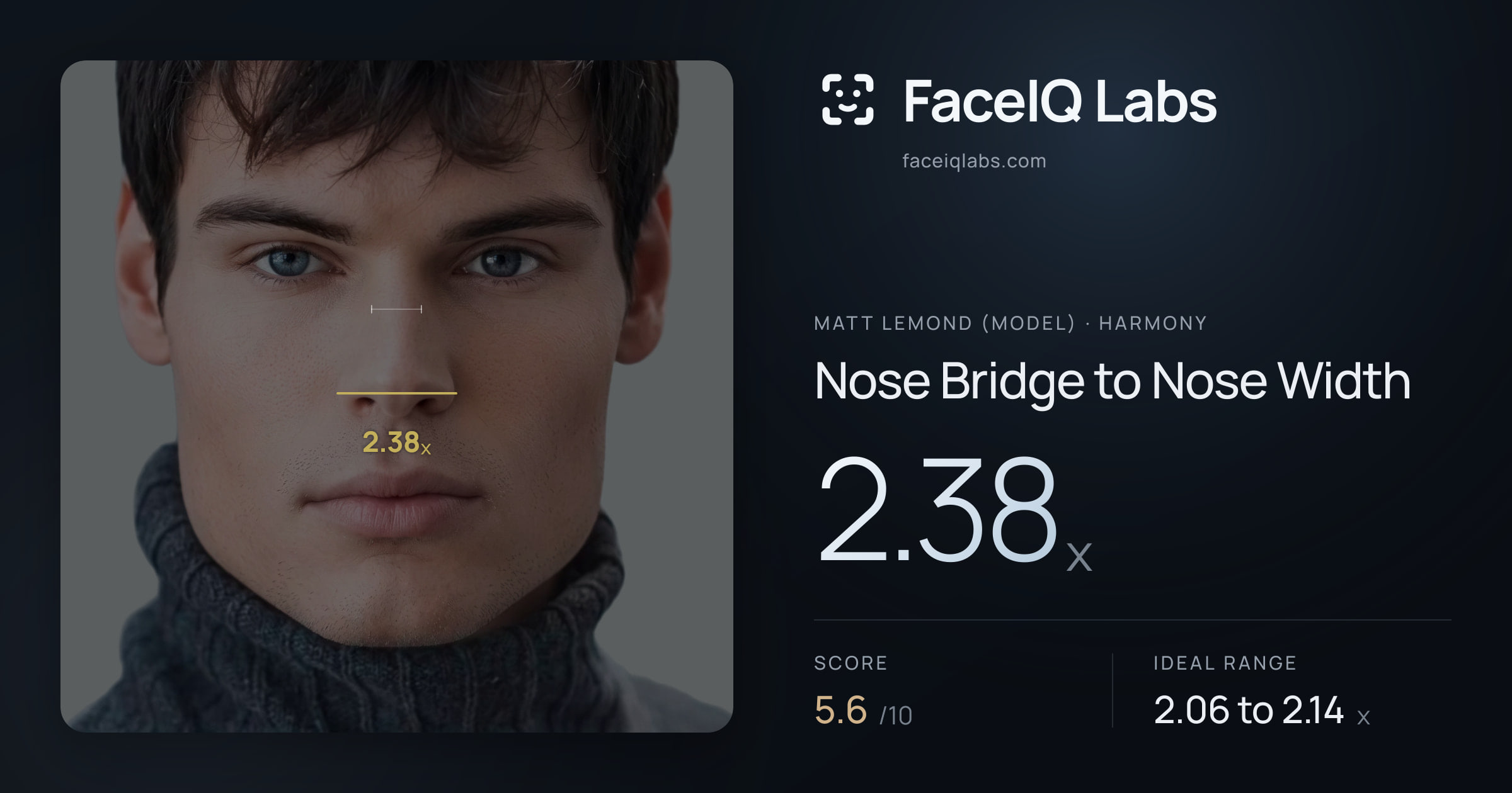 Matt Lemond (Model) Nose Bridge to Nose Width: 2.38x, drawn on the photo