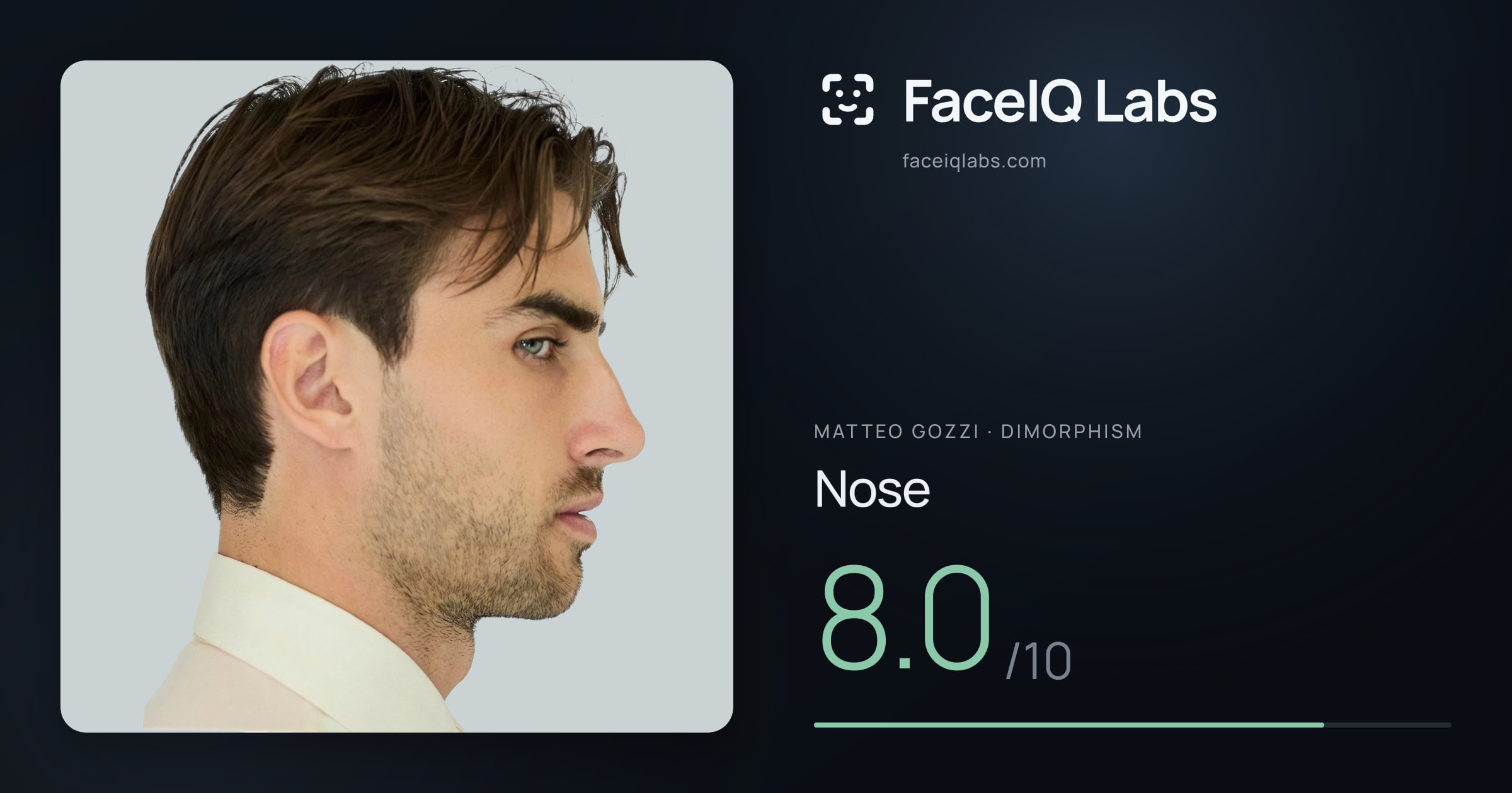 Matteo Gozzi Nose: 8.0/10, drawn on the photo