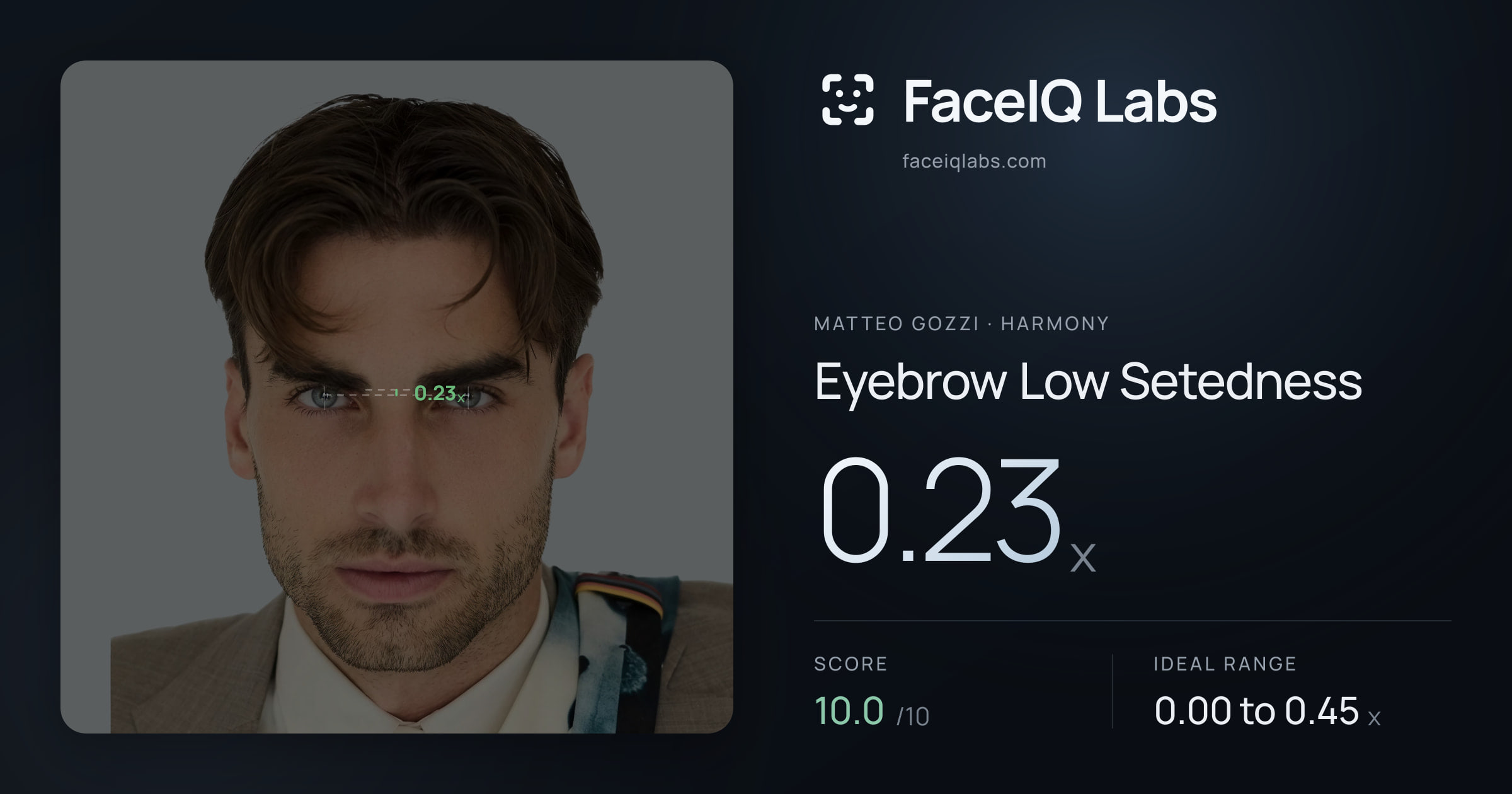 Matteo Gozzi Eyebrow Low Setedness: 0.23x, drawn on the photo