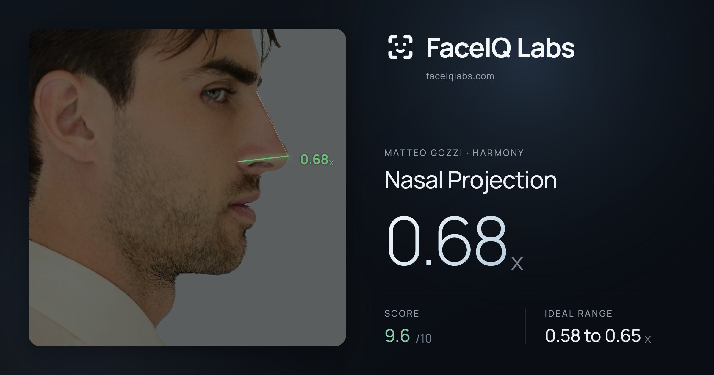 Matteo Gozzi Nasal Projection: 0.68x, drawn on the photo