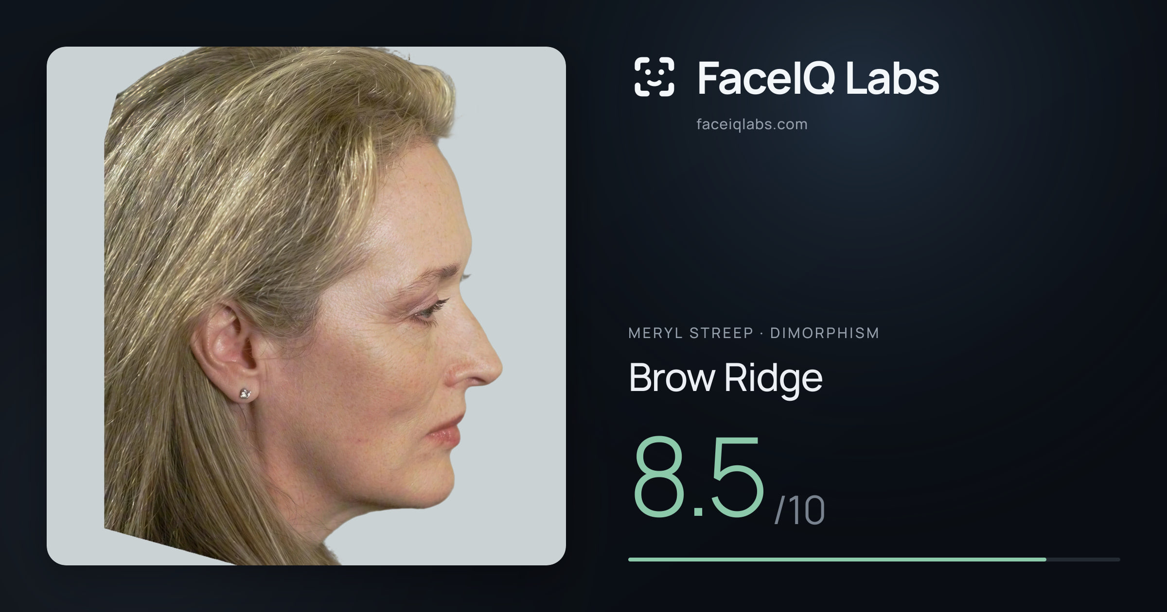 Meryl Streep Brow Ridge: 8.5/10, drawn on the photo