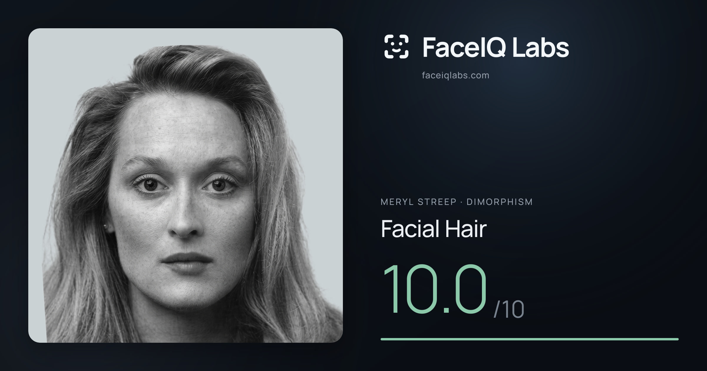 Meryl Streep Facial Hair: 10.0/10, drawn on the photo