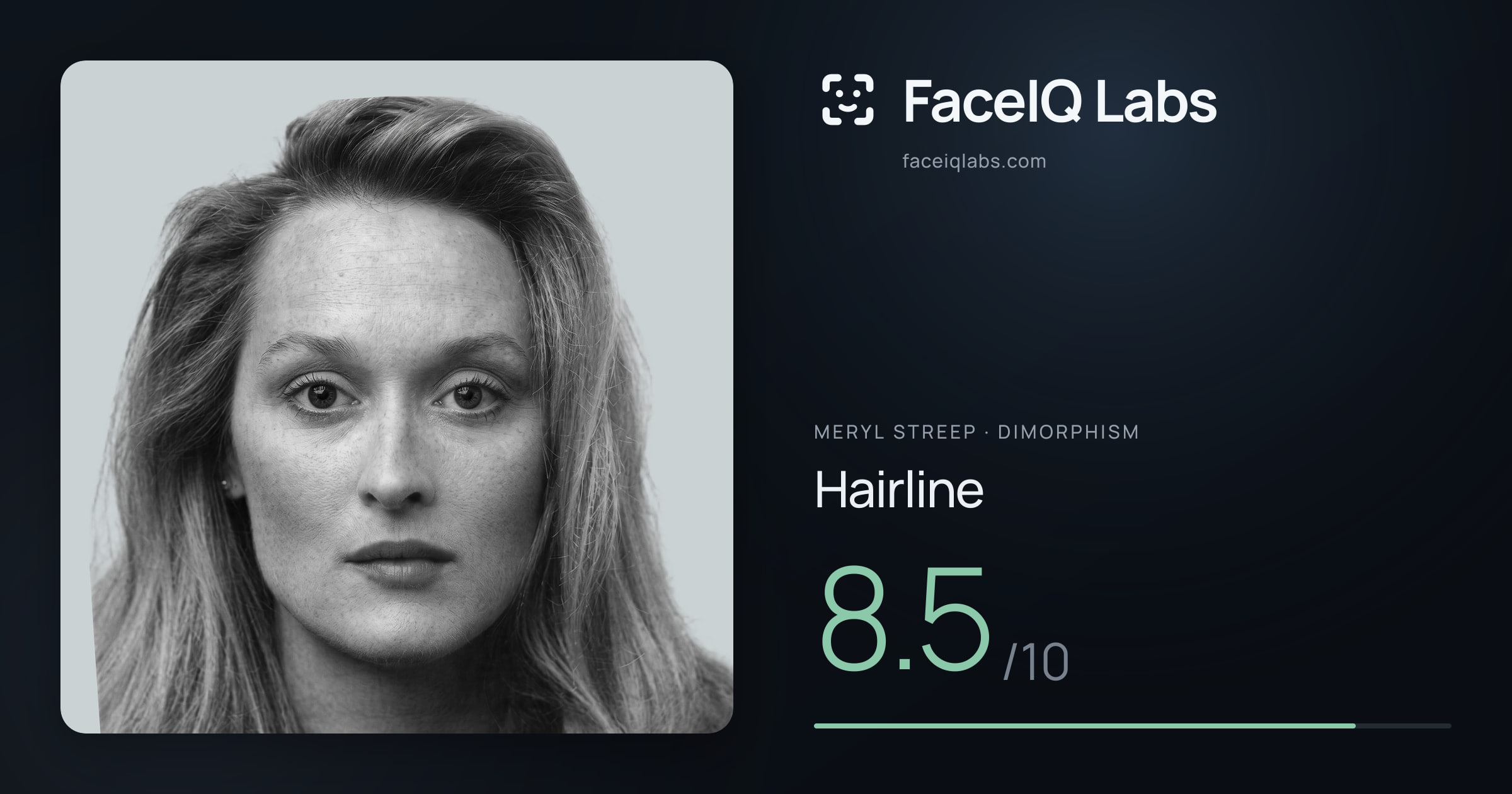 Meryl Streep Hairline: 8.5/10, drawn on the photo