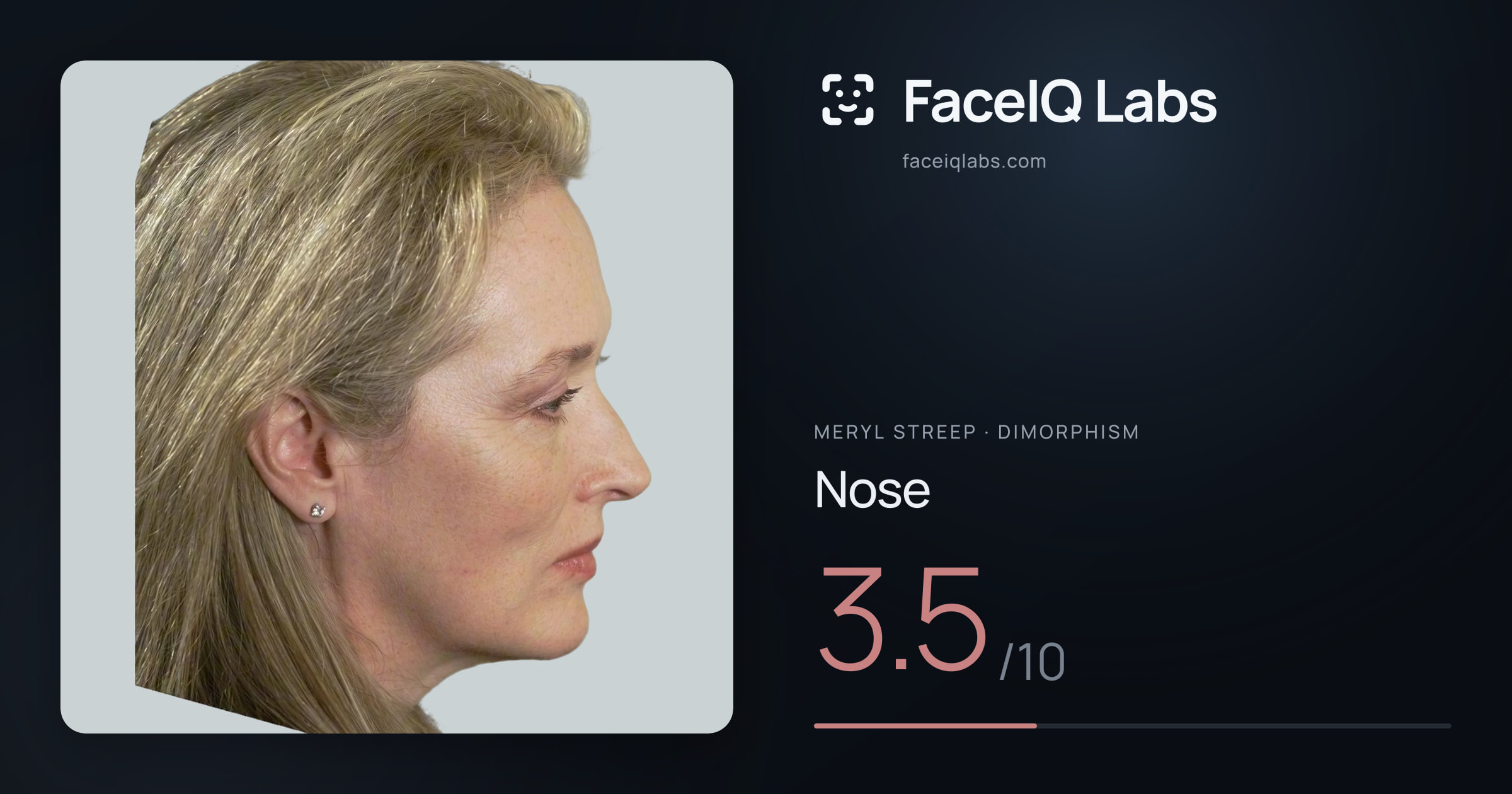 Meryl Streep Nose: 3.5/10, drawn on the photo