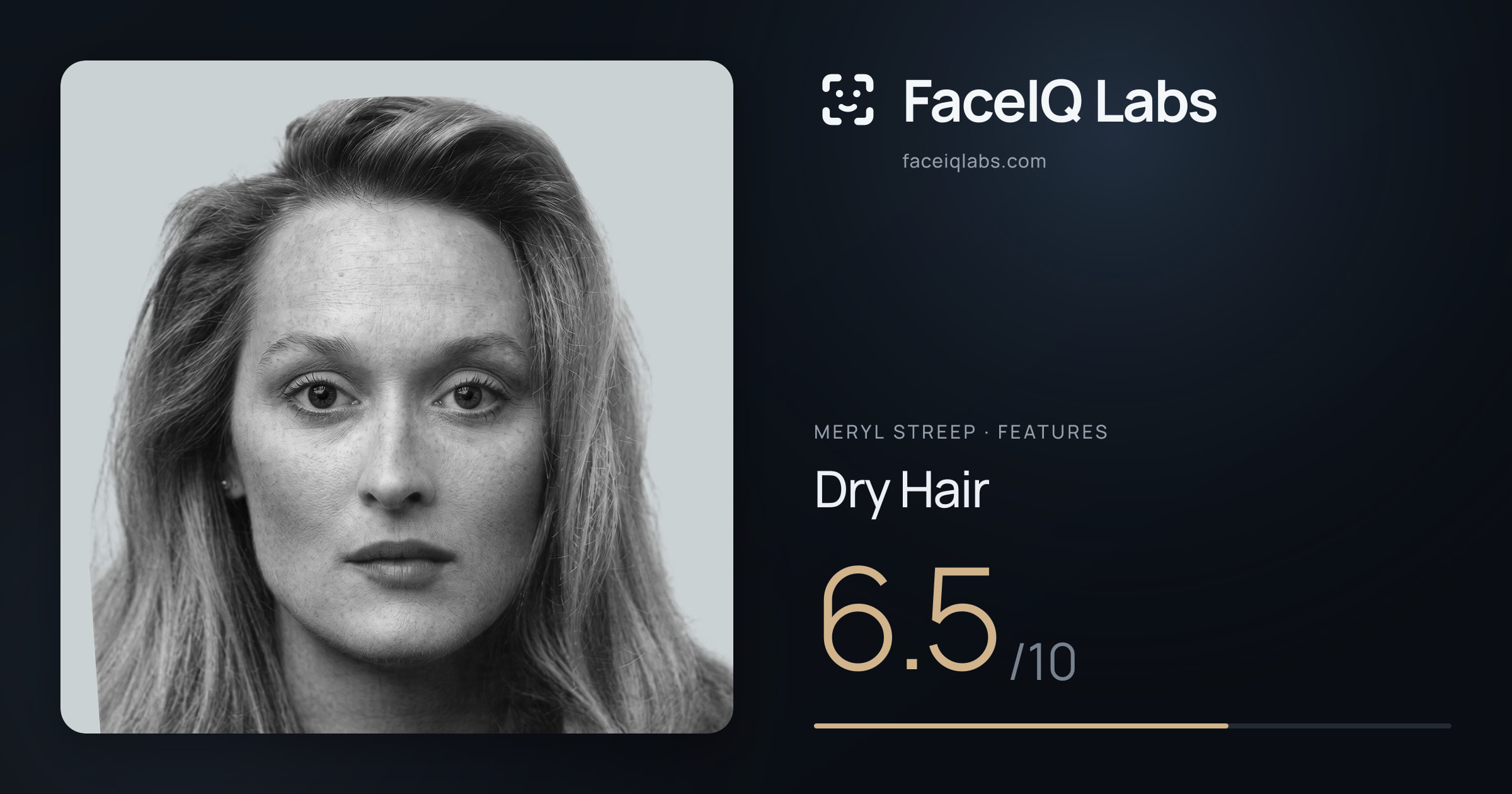 Meryl Streep Dry Hair: 6.5/10, drawn on the photo