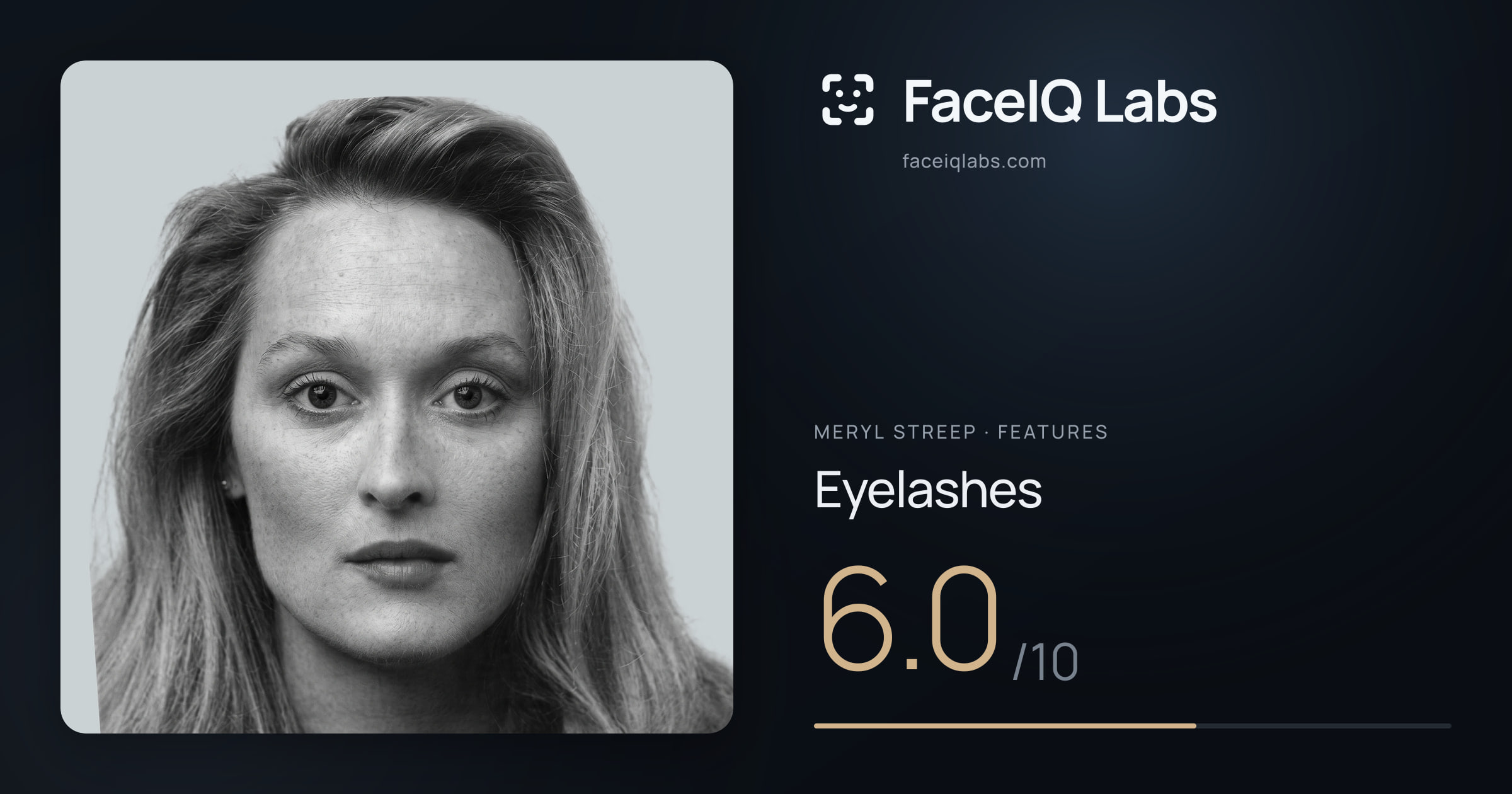 Meryl Streep Eyelashes: 6.0/10, drawn on the photo
