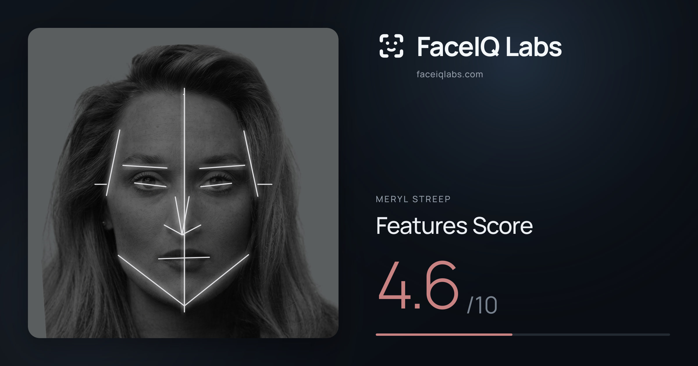 Meryl Streep Features: 4.6/10, with each assessment drawn on the photo