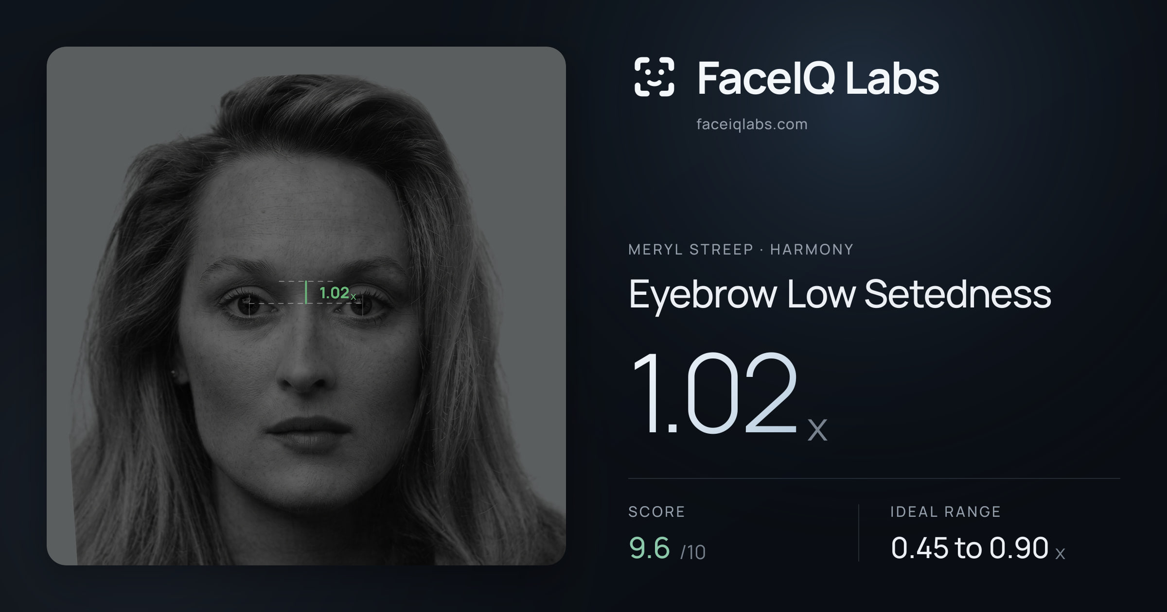 Meryl Streep Eyebrow Low Setedness: 1.02x, drawn on the photo