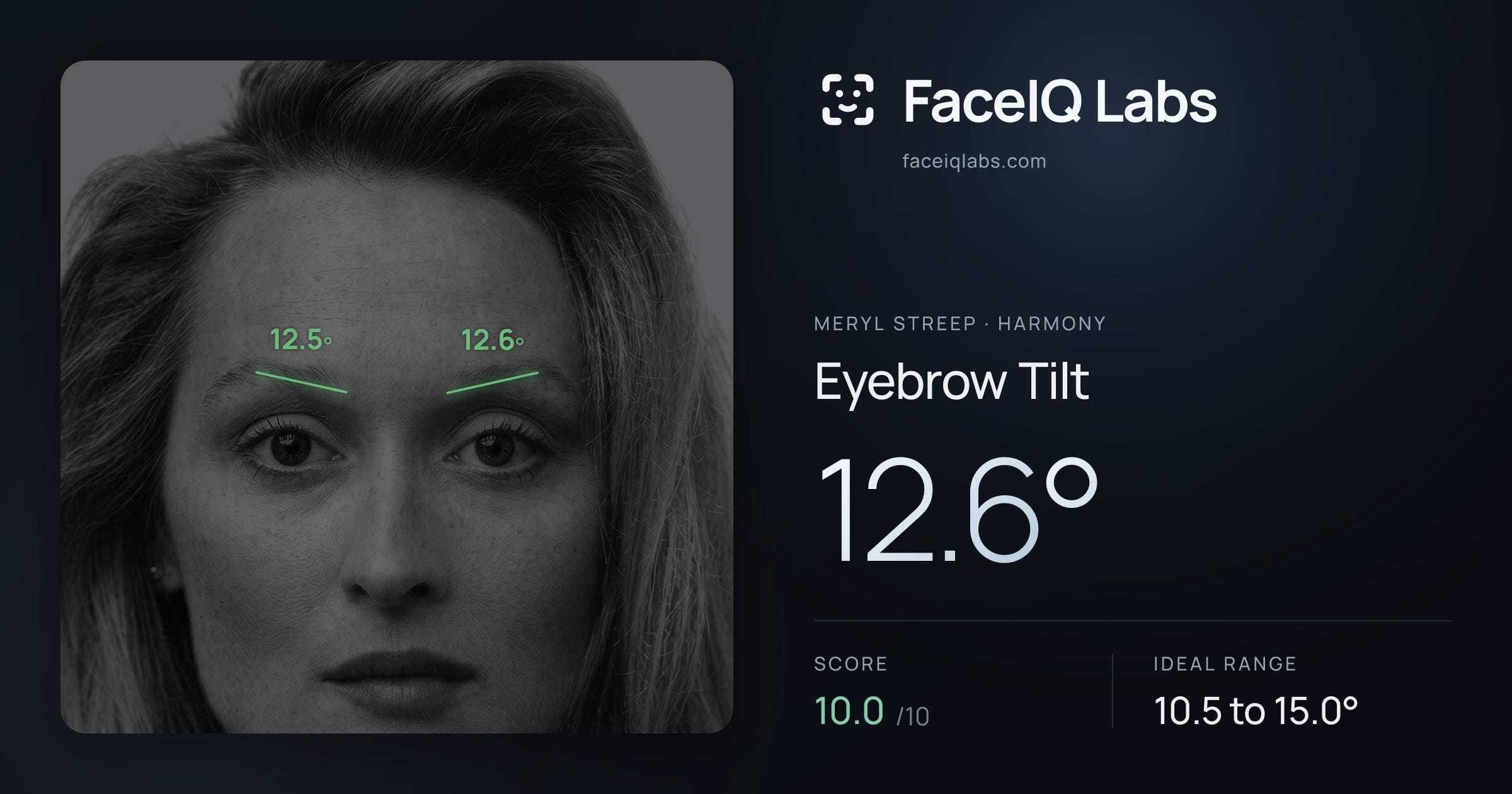 Meryl Streep Eyebrow Tilt: 12.6°, drawn on the photo
