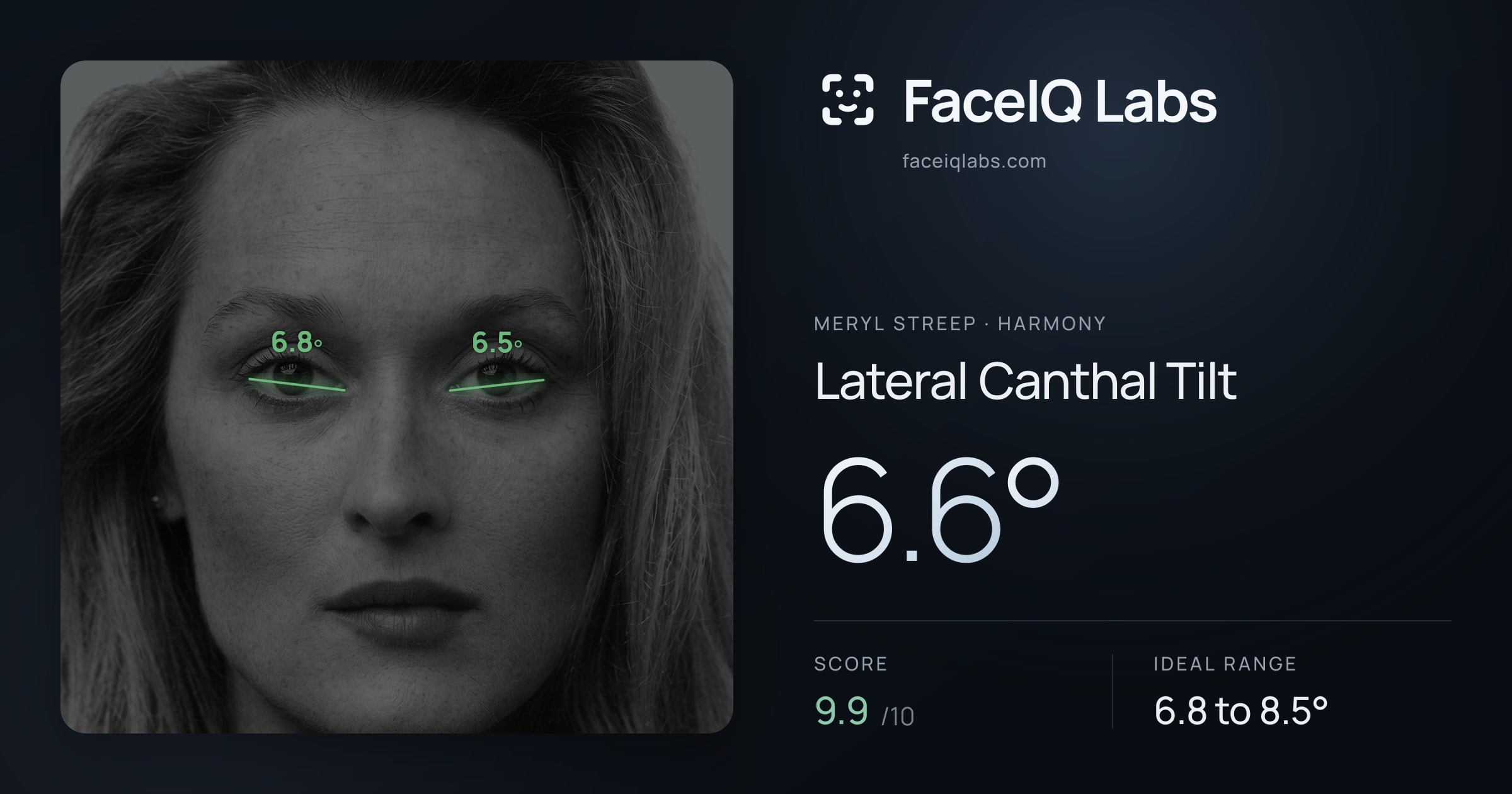 Meryl Streep Lateral Canthal Tilt: 6.6°, drawn on the photo