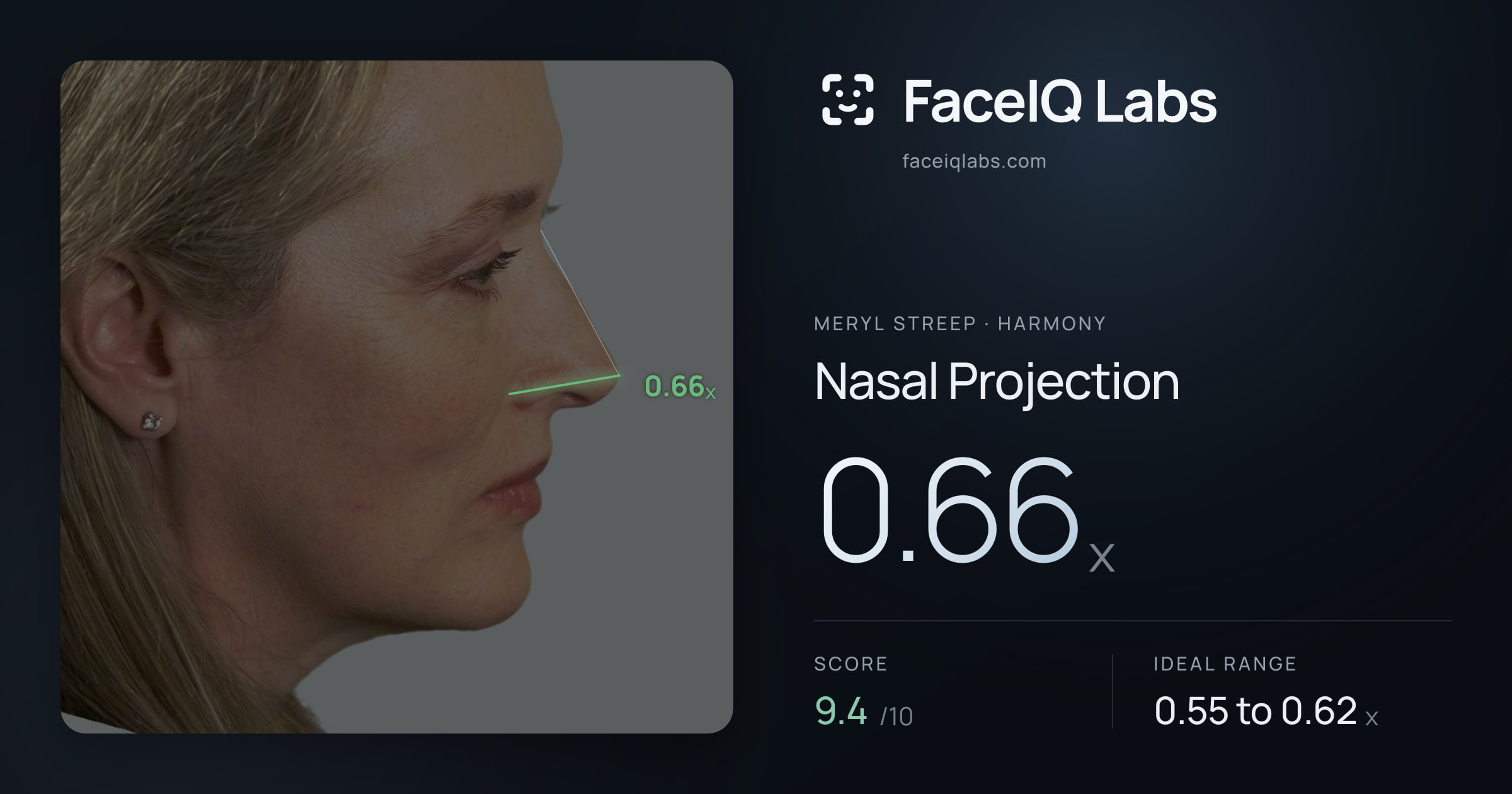 Meryl Streep Nasal Projection: 0.66x, drawn on the photo